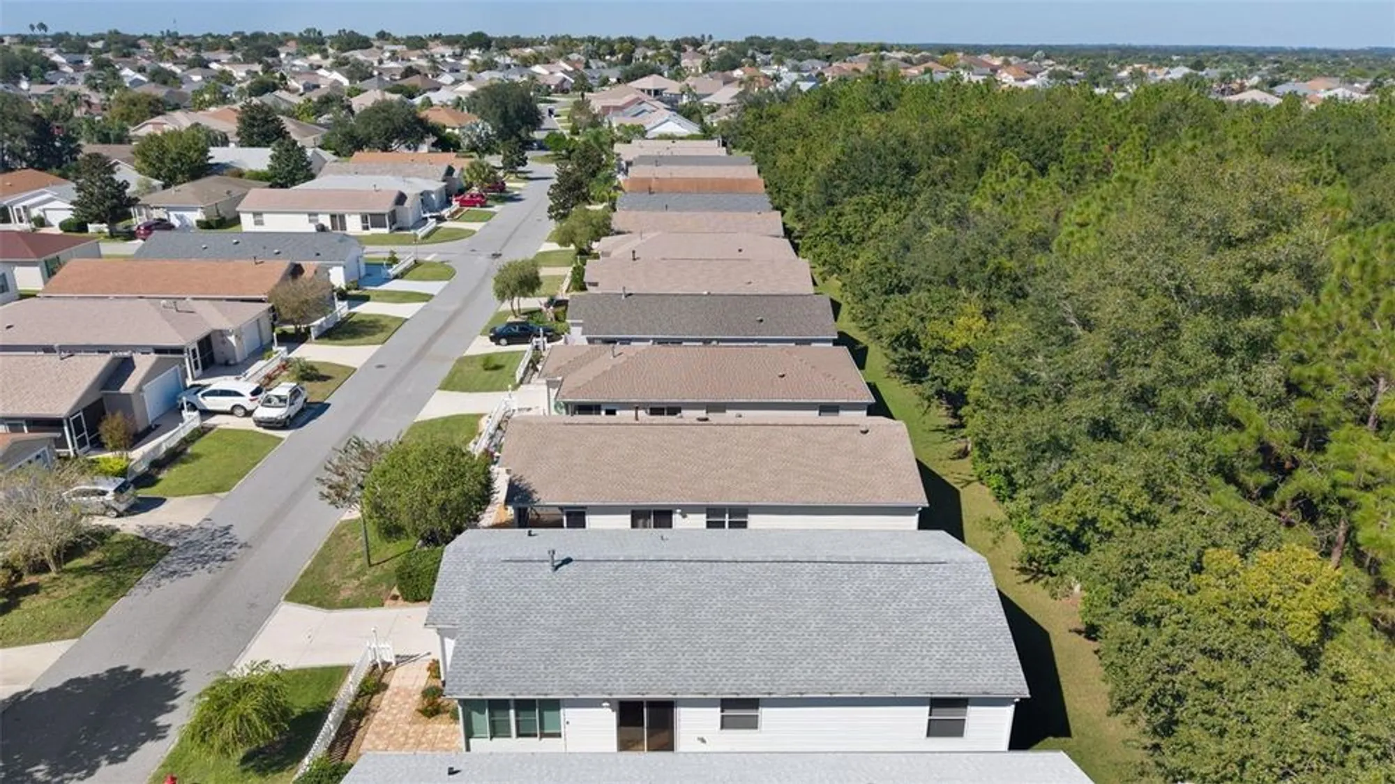 Property Slideshow image 37 of 38 | 297 emmalee pl, The Villages, FL, 32162