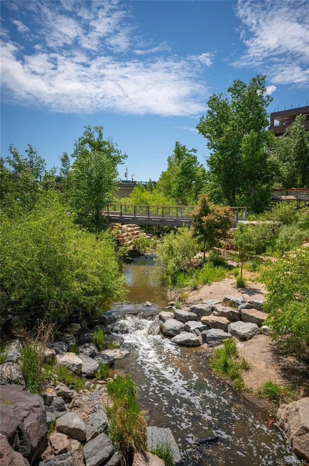 Property Slideshow image 11 of 20 | 2021 grayside cir, Castle Rock, CO, 80109