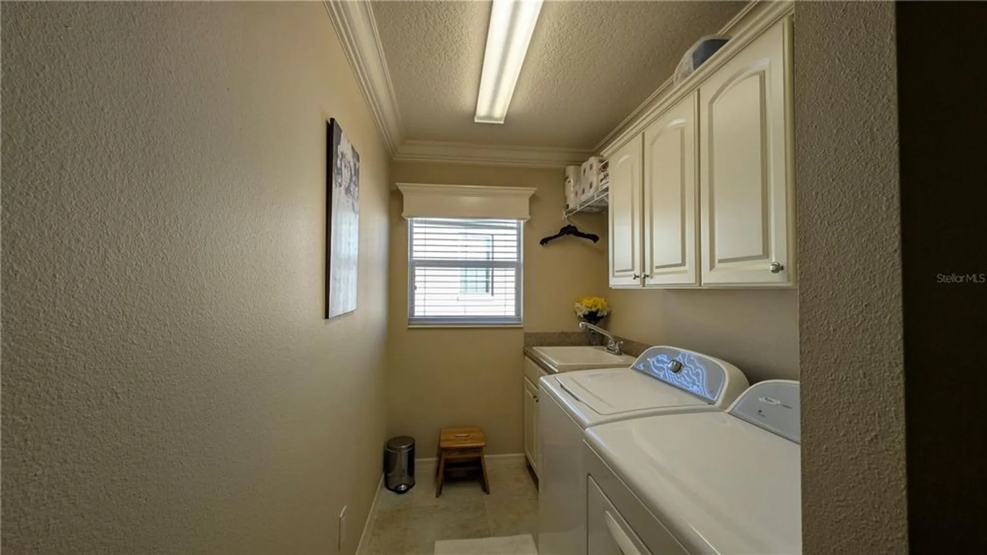 Property Slideshow image 48 of 51 | 1881 sassparilla way, The Villages, FL, 32162