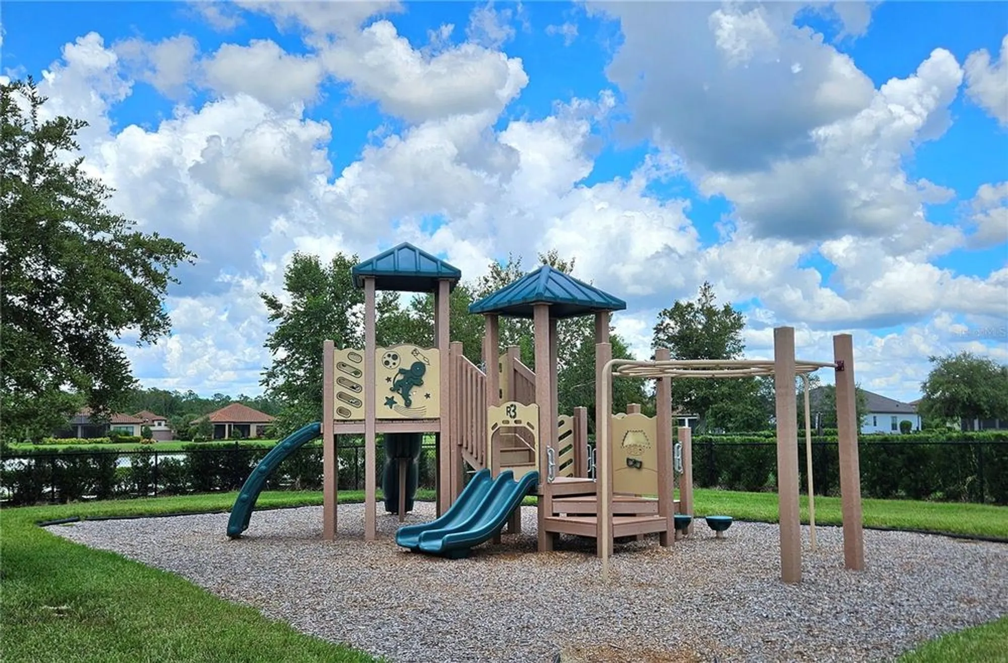 Property Slideshow image 68 of 72 | 11740 bitola dr, Odessa, FL, 33556