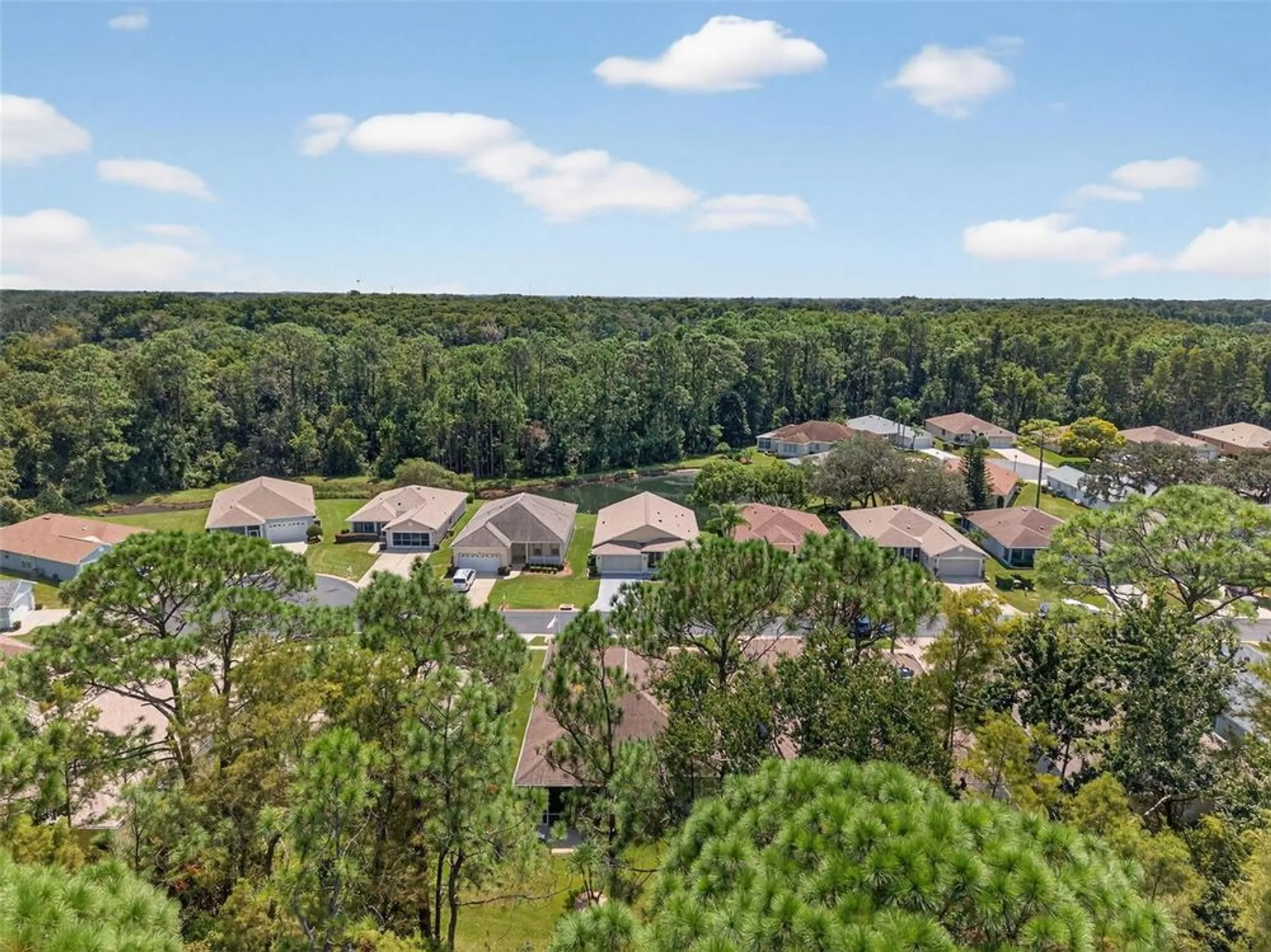 Property Slideshow image 61 of 71 | 11501 bloomington ct, New Port Richey, FL, 34654