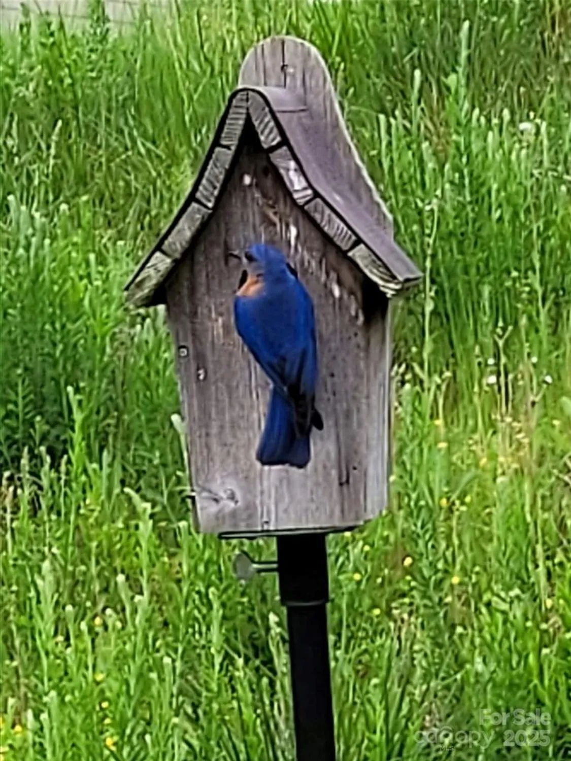 Property Slideshow image 32 of 37 | 1243 greenland dr, Denver, NC, 28037