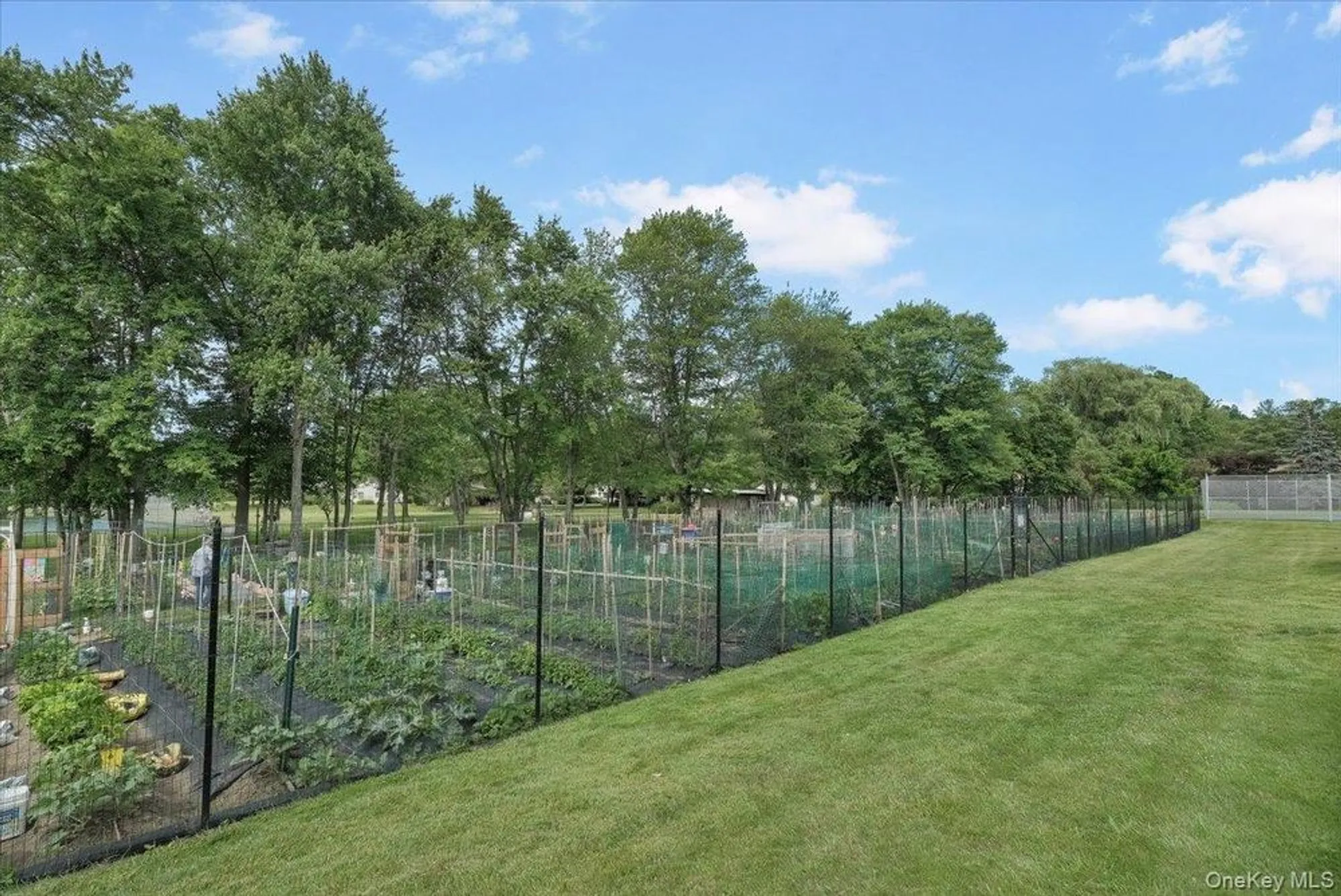 Property Slideshow image 39 of 40 | 159 carriage ct c, Yorktown Heights, NY, 10598