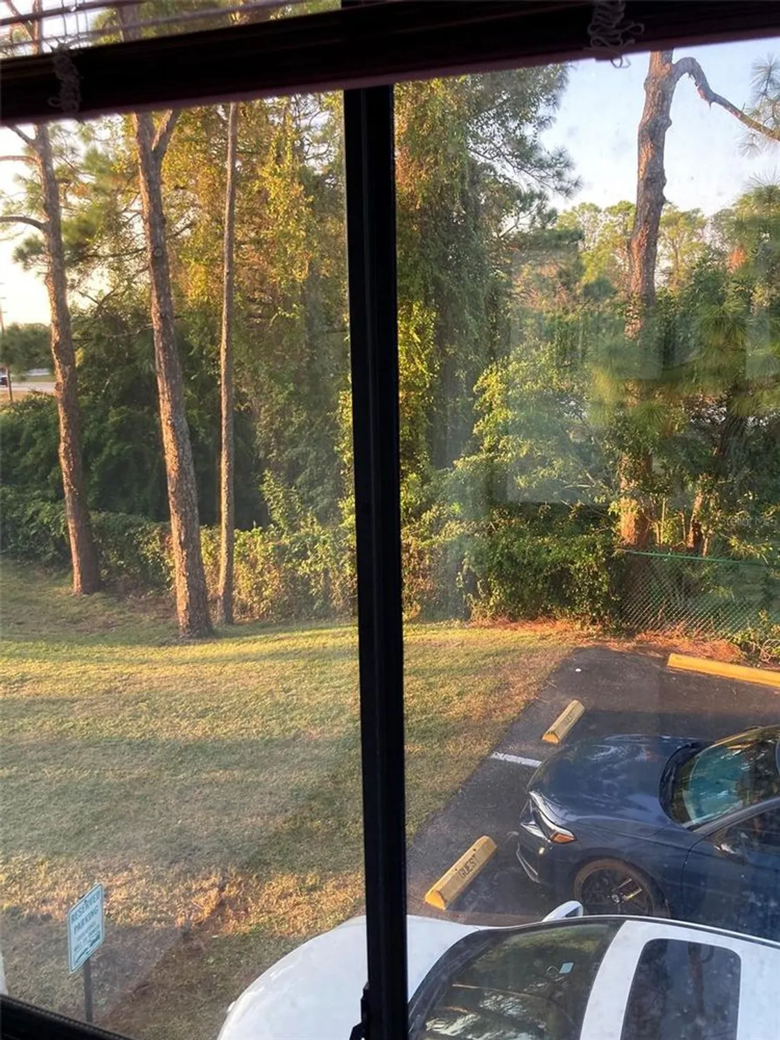 Property Slideshow image 41 of 52 | 8198 terrace garden dr n unit 211, St Petersburg, FL, 33709