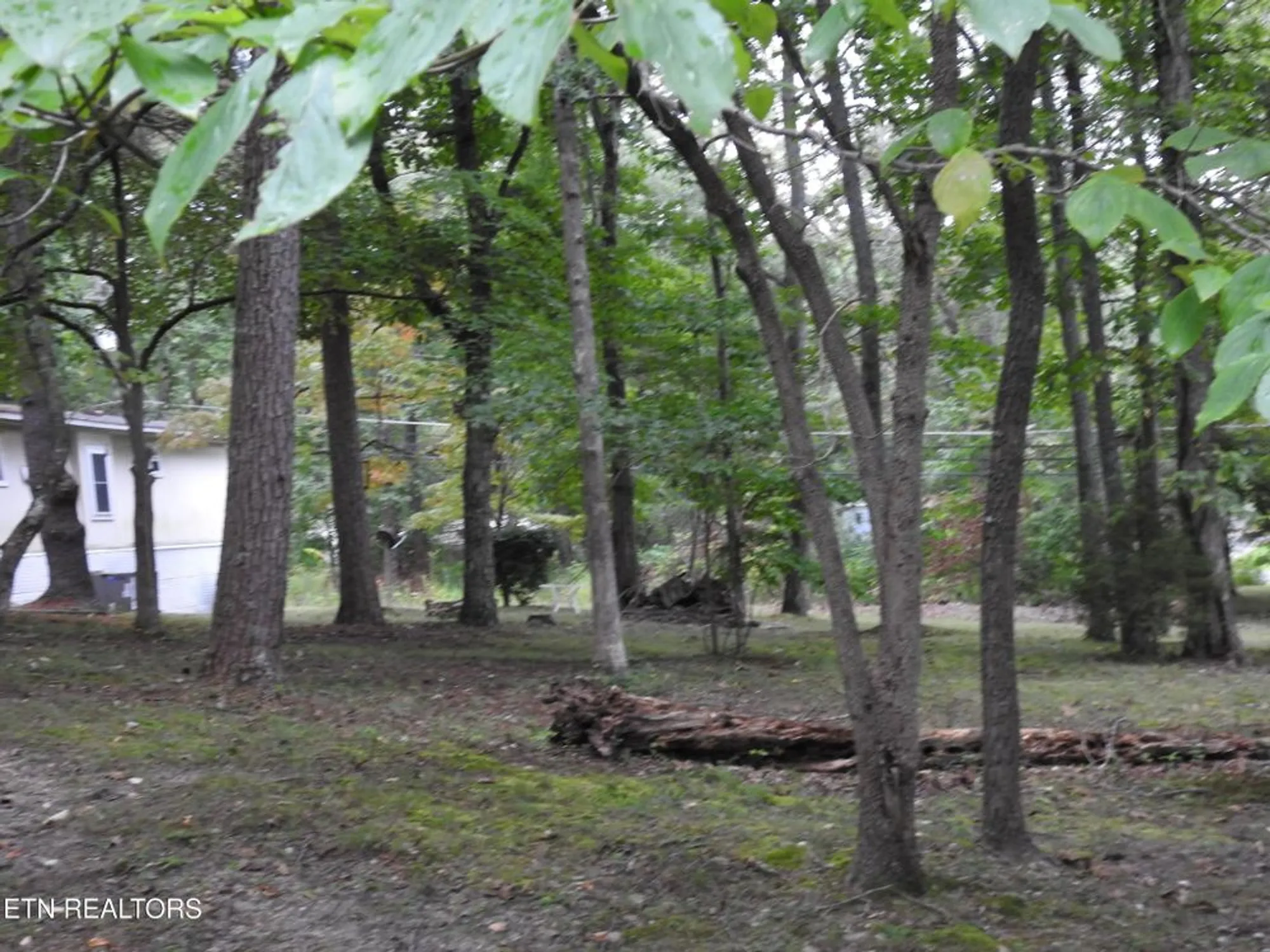 Property Slideshow image 37 of 42 | 244 rugby rd, Crossville, TN, 38558