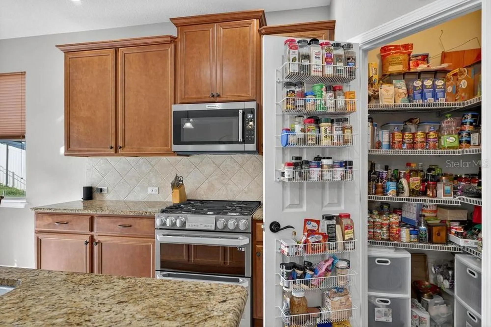 Property Slideshow image 26 of 73 | 30120 hackney loop, Mount Dora, FL, 32757