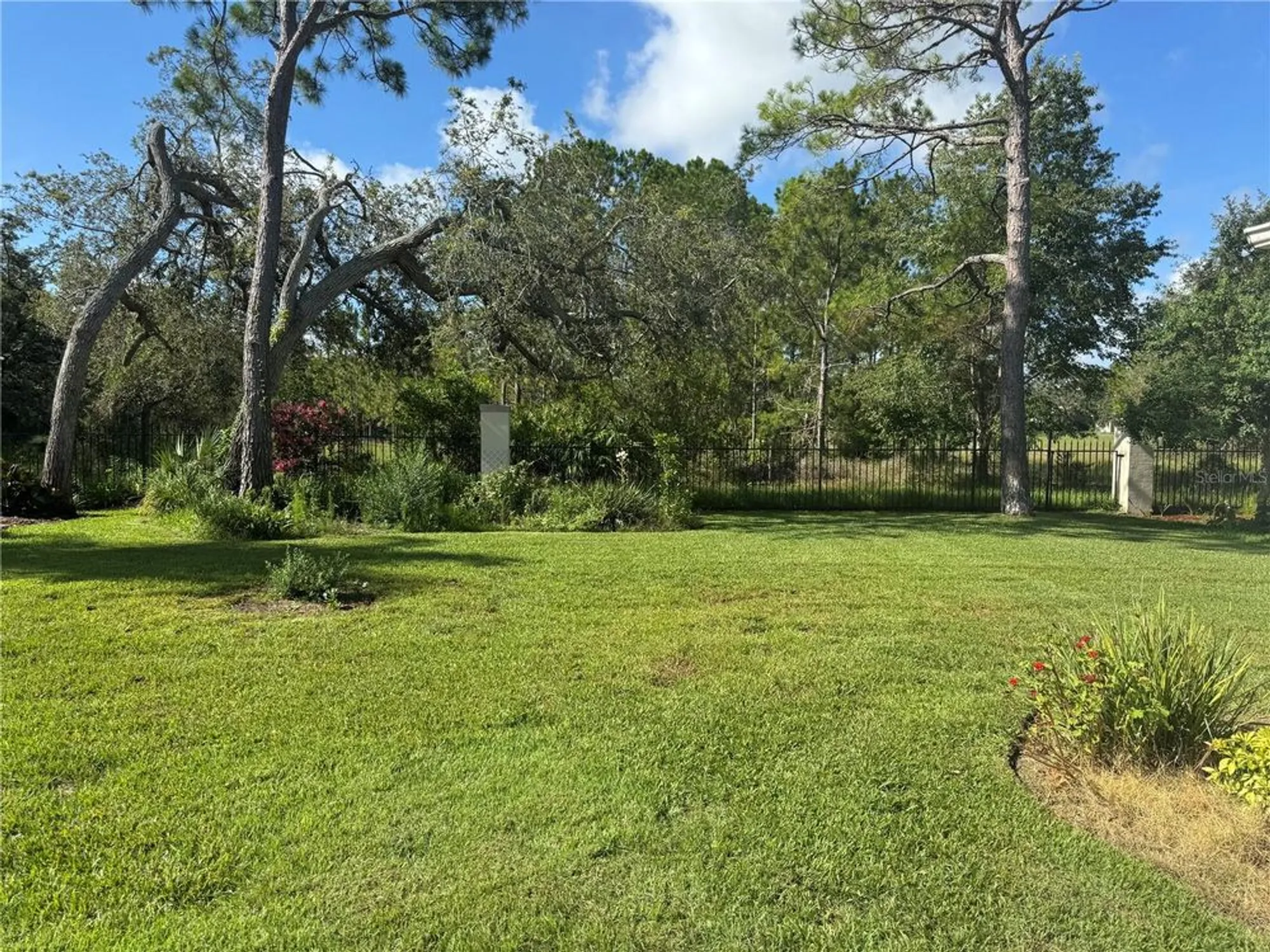 Property Slideshow image 25 of 25 | 7360 clearmeadow dr, Spring Hill, FL, 34606