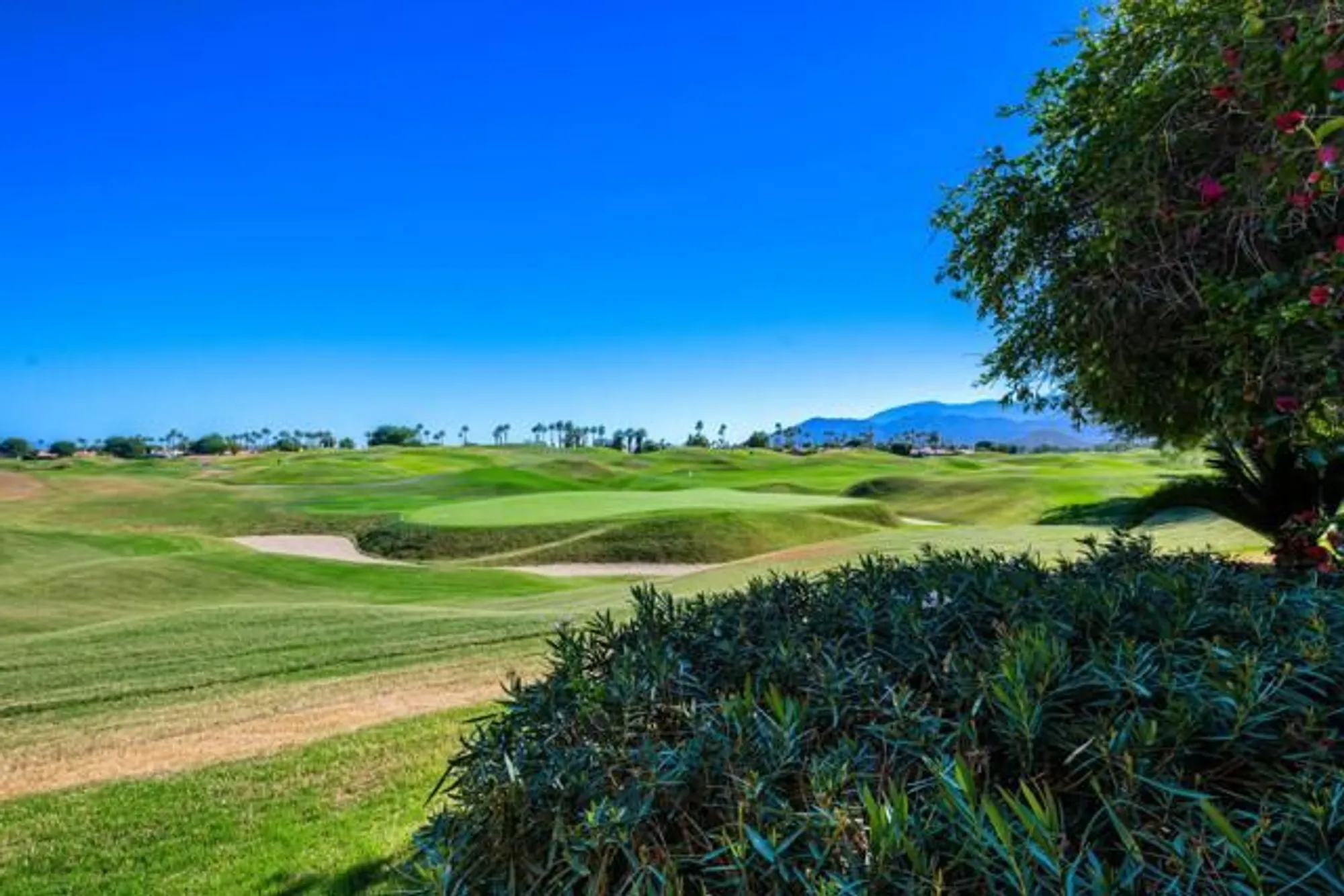 Property Slideshow image 5 of 42 | 54108 oak tree a143, La Quinta, CA, 92253