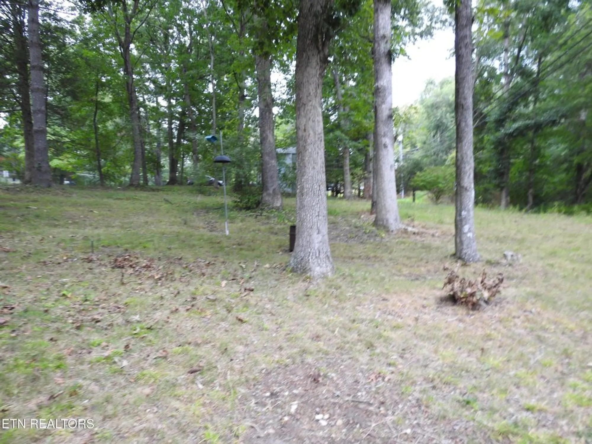 Property Slideshow image 31 of 42 | 244 rugby rd, Crossville, TN, 38558