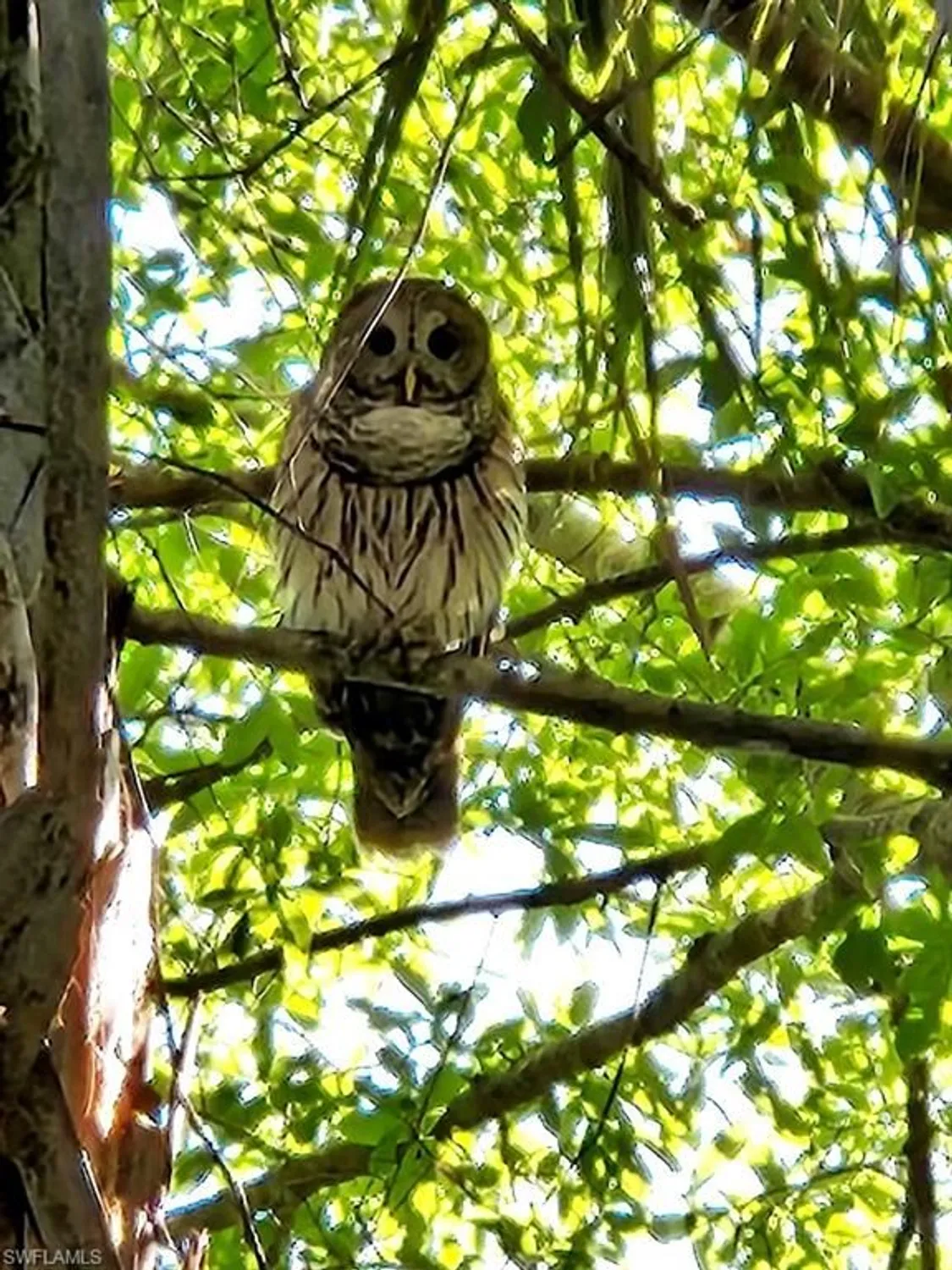 Property Slideshow image 35 of 36 | 10110 colonial country club blvd apt 105, Fort Myers, FL, 33913