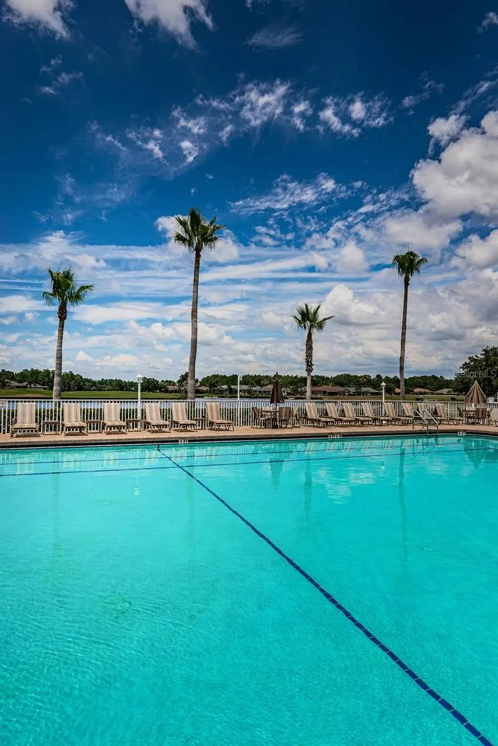 Property Slideshow image 80 of 100 | 1136 almondwood dr, Trinity, FL, 34655