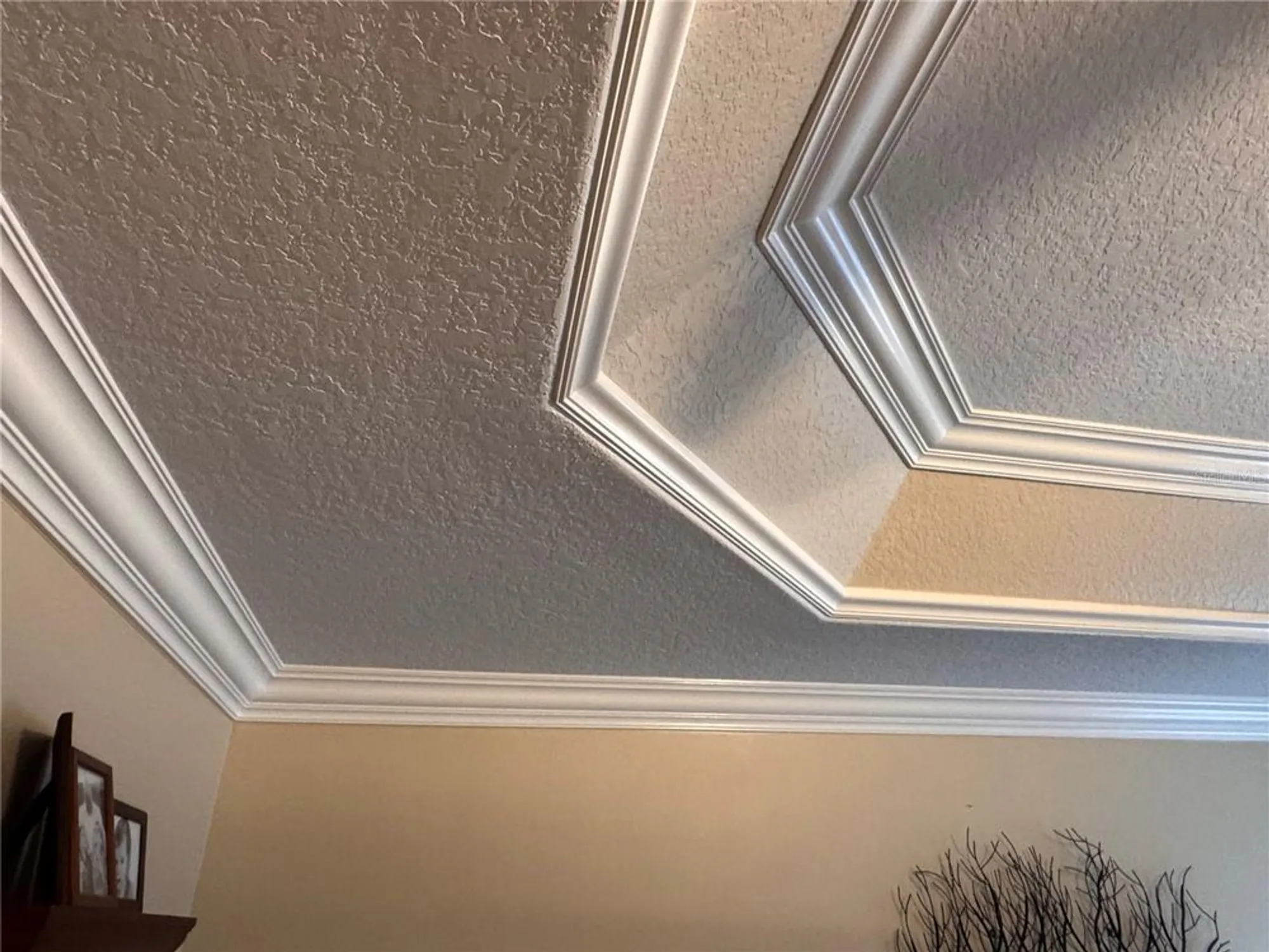 Property Slideshow image 22 of 45 | 1092 incorvaia way, The Villages, FL, 32163