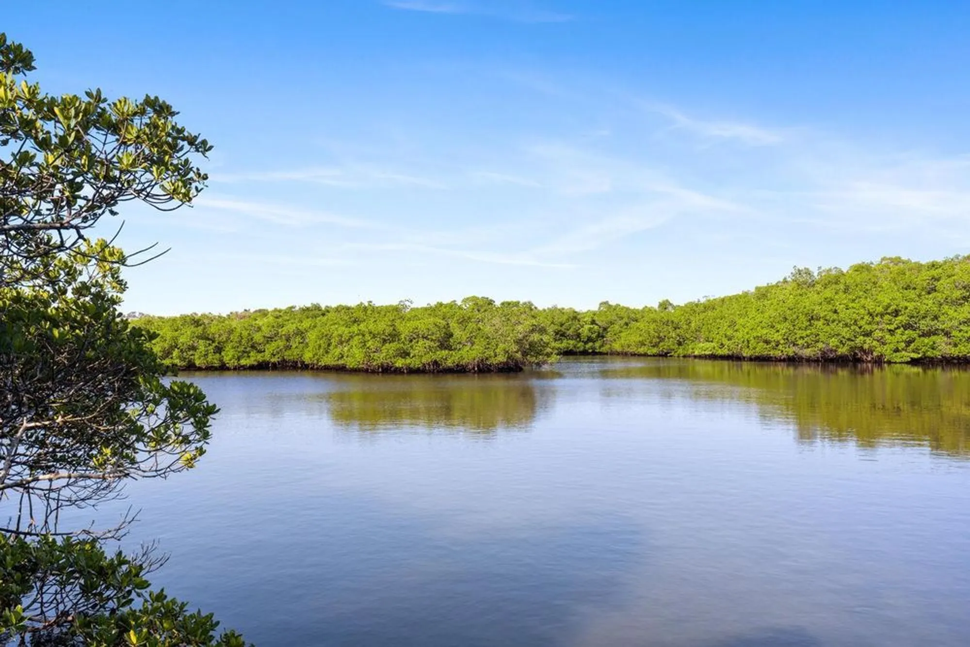 Property Slideshow image 52 of 54 | 1654 starling dr 201, Sarasota, FL, 34231