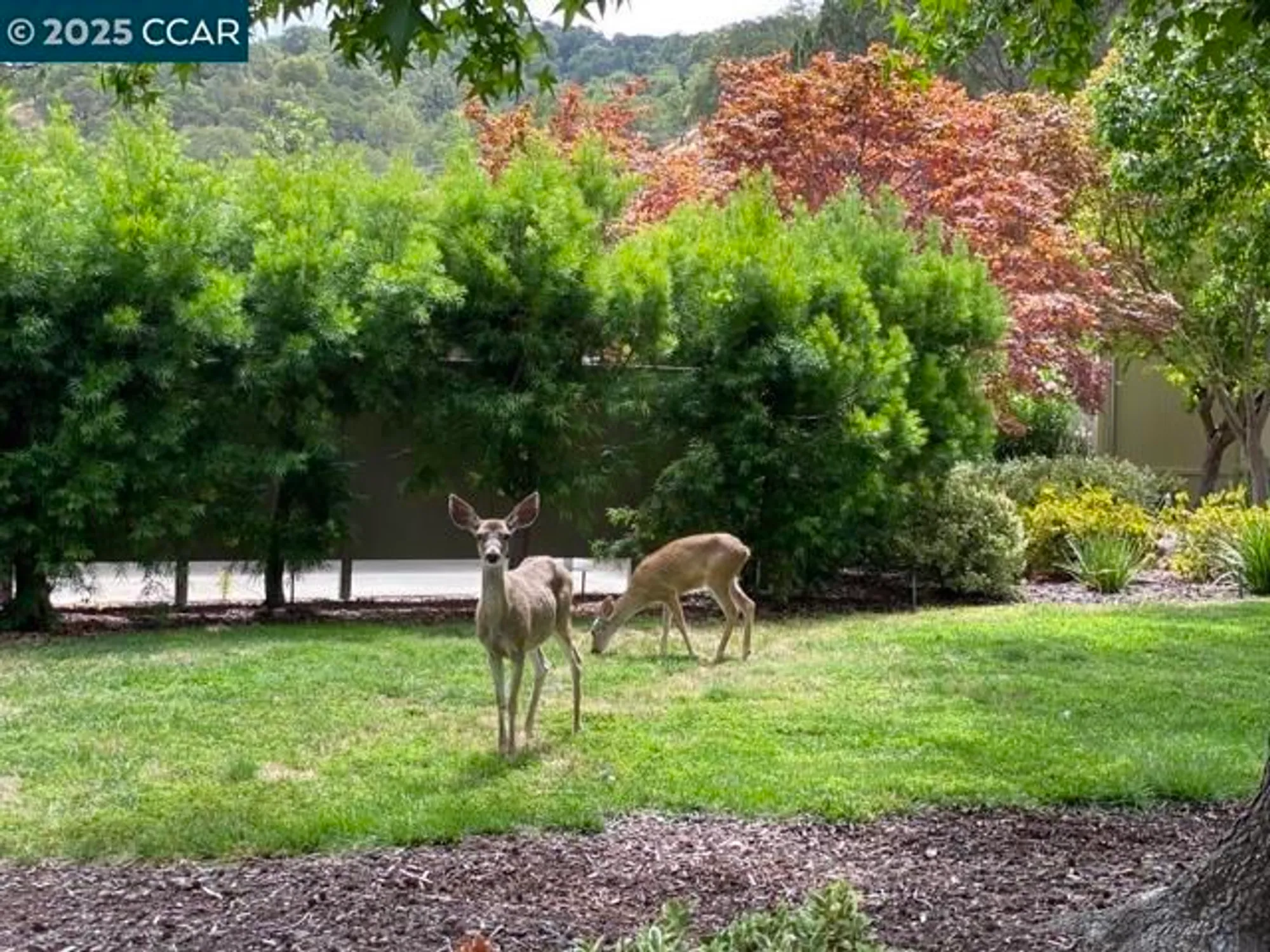 Property Slideshow image 52 of 54 | 3434 tice creek dr 5, Walnut Creek, CA, 94595