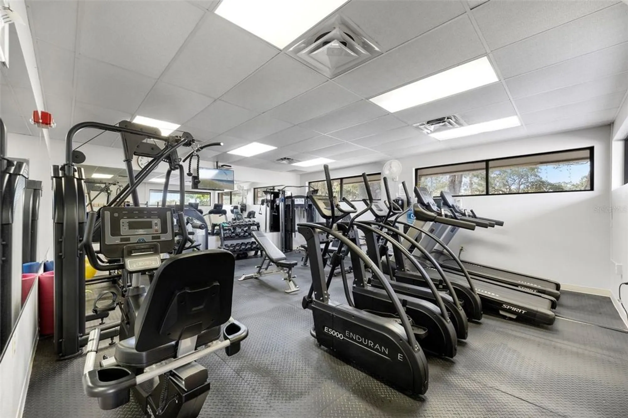 Property Slideshow image 27 of 49 | 8034 merrimac dr, Port Richey, FL, 34668