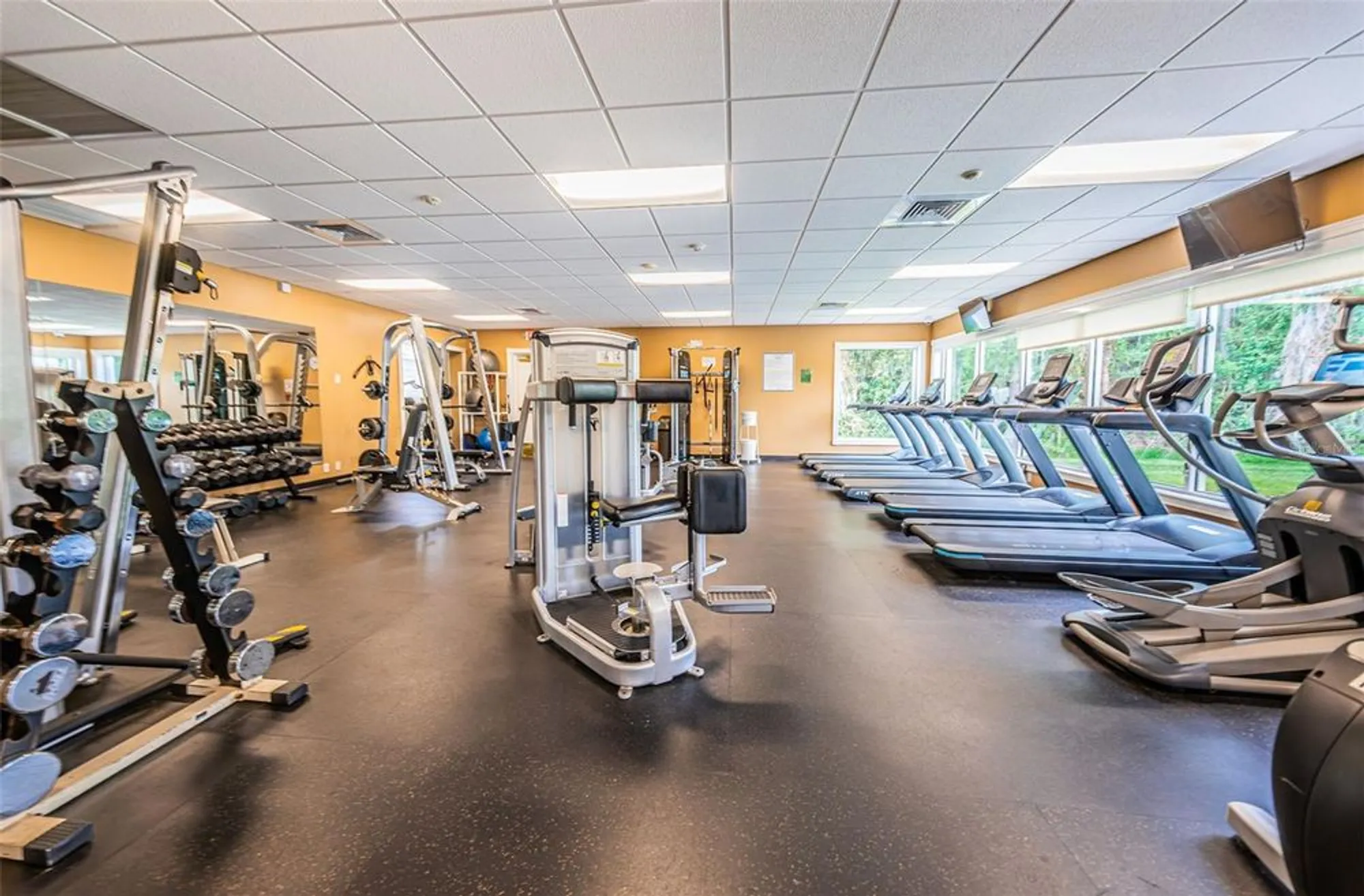 Property Slideshow image 83 of 100 | 1136 almondwood dr, Trinity, FL, 34655