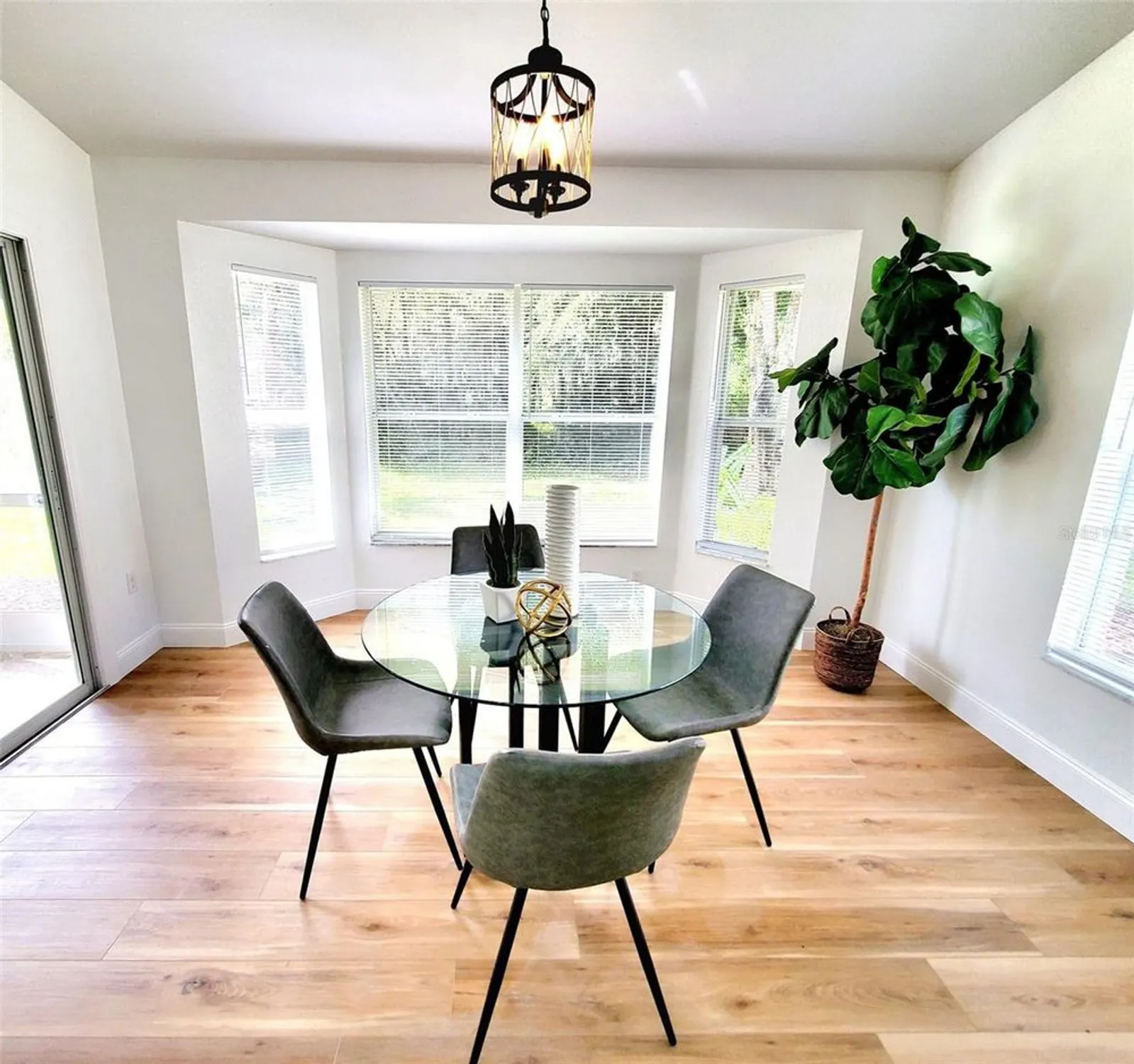 Property Slideshow image 20 of 50 | 1517 morning rose pl, Trinity, FL, 34655