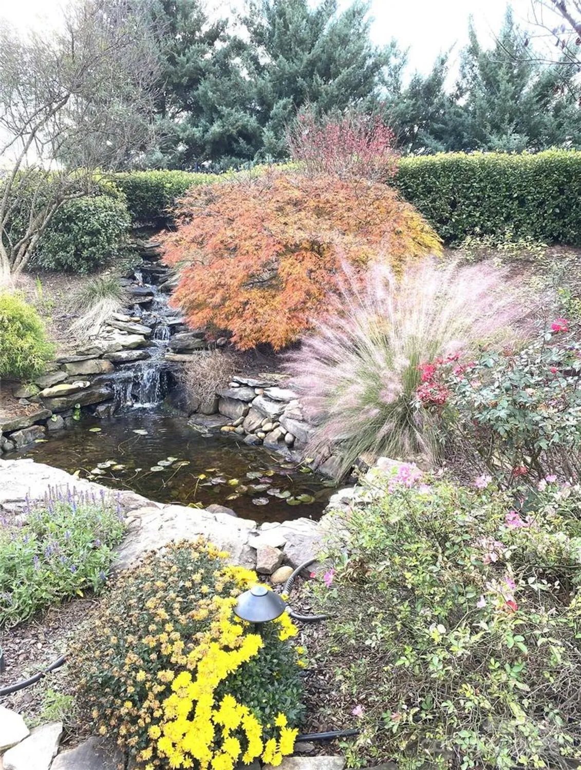 Property Slideshow image 25 of 45 | 43041 mimosa ct, Fort Mill, SC, 29707