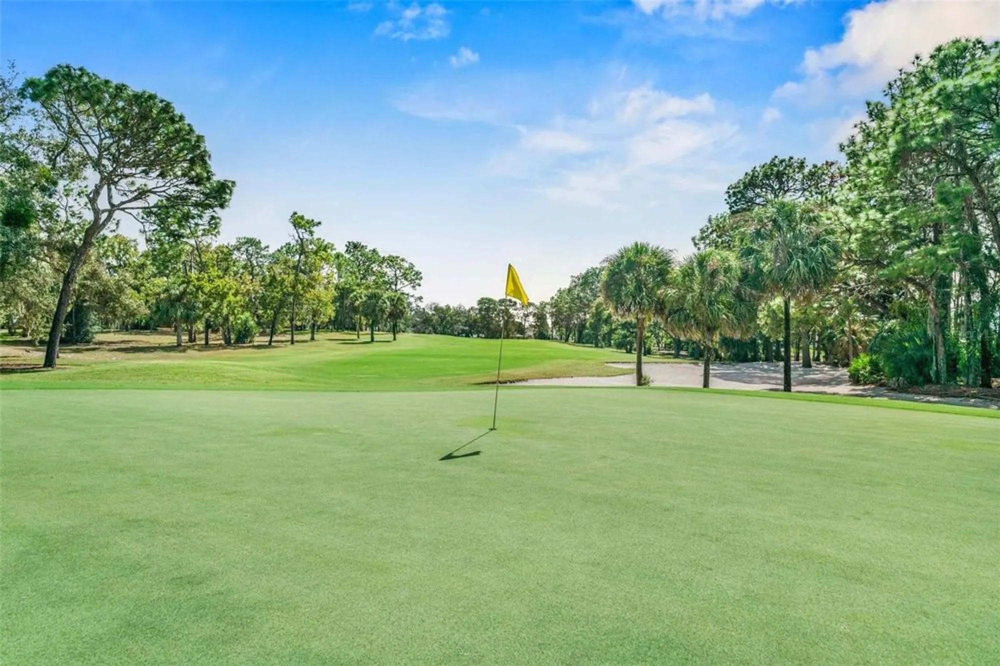 Property Slideshow image 69 of 73 | 8426 charleston dr, Weeki Wachee, FL, 34613