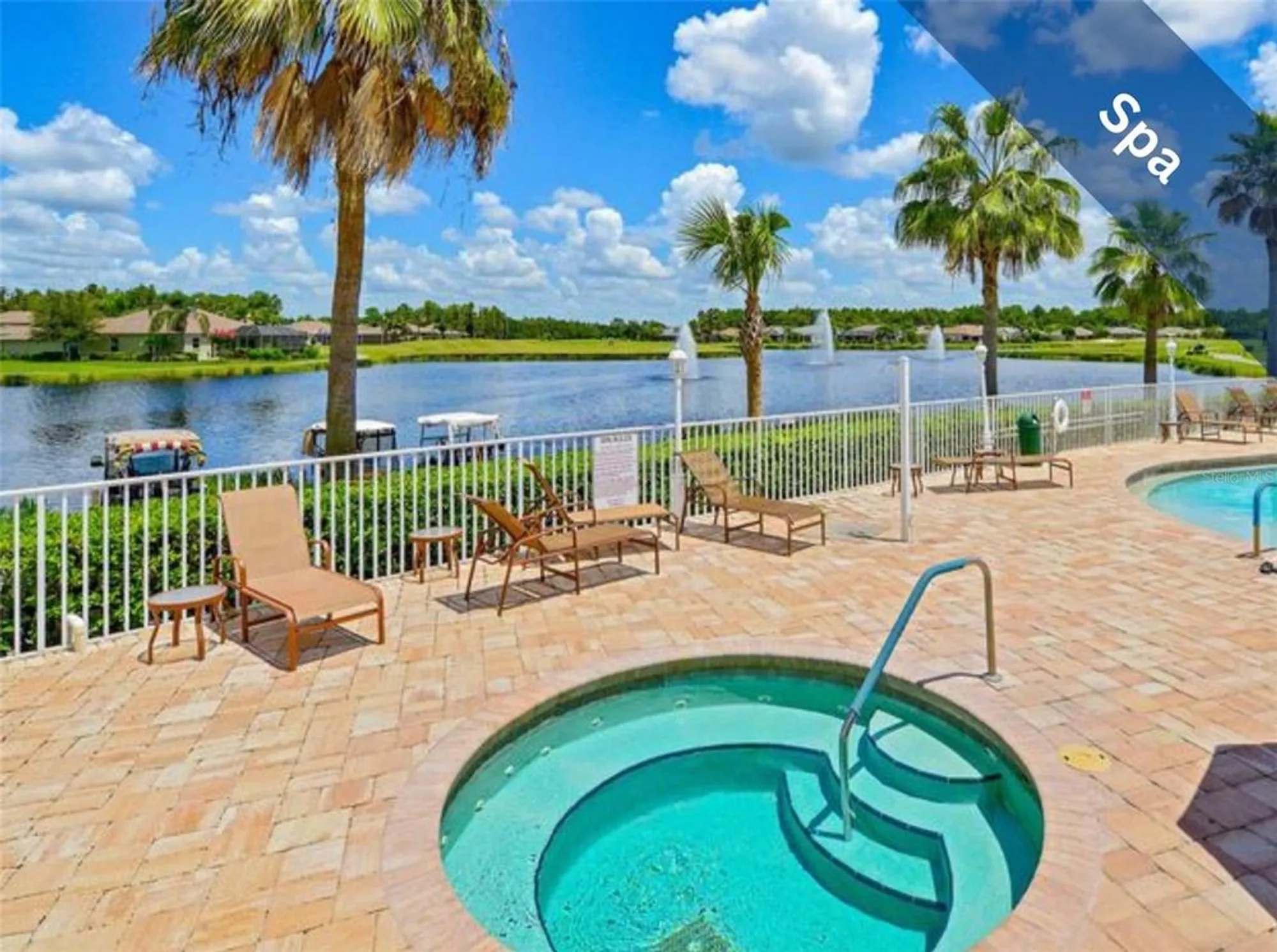 Property Slideshow image 44 of 49 | 1630 lakestone dr, Trinity, FL, 34655