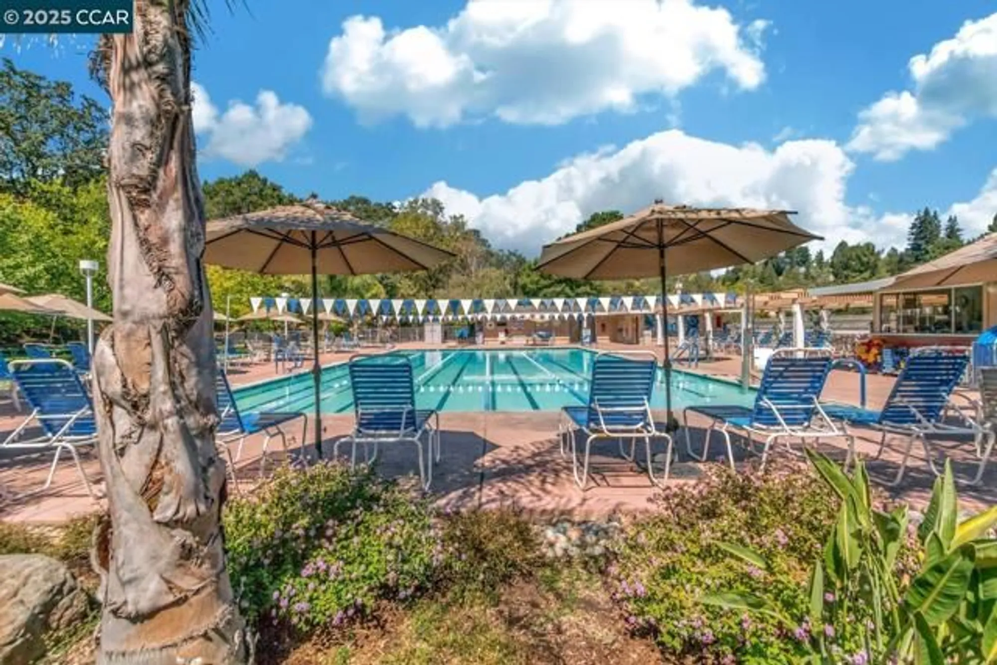 Property Slideshow image 44 of 60 | 1816 golden rain rd 13, Walnut Creek, CA, 94595