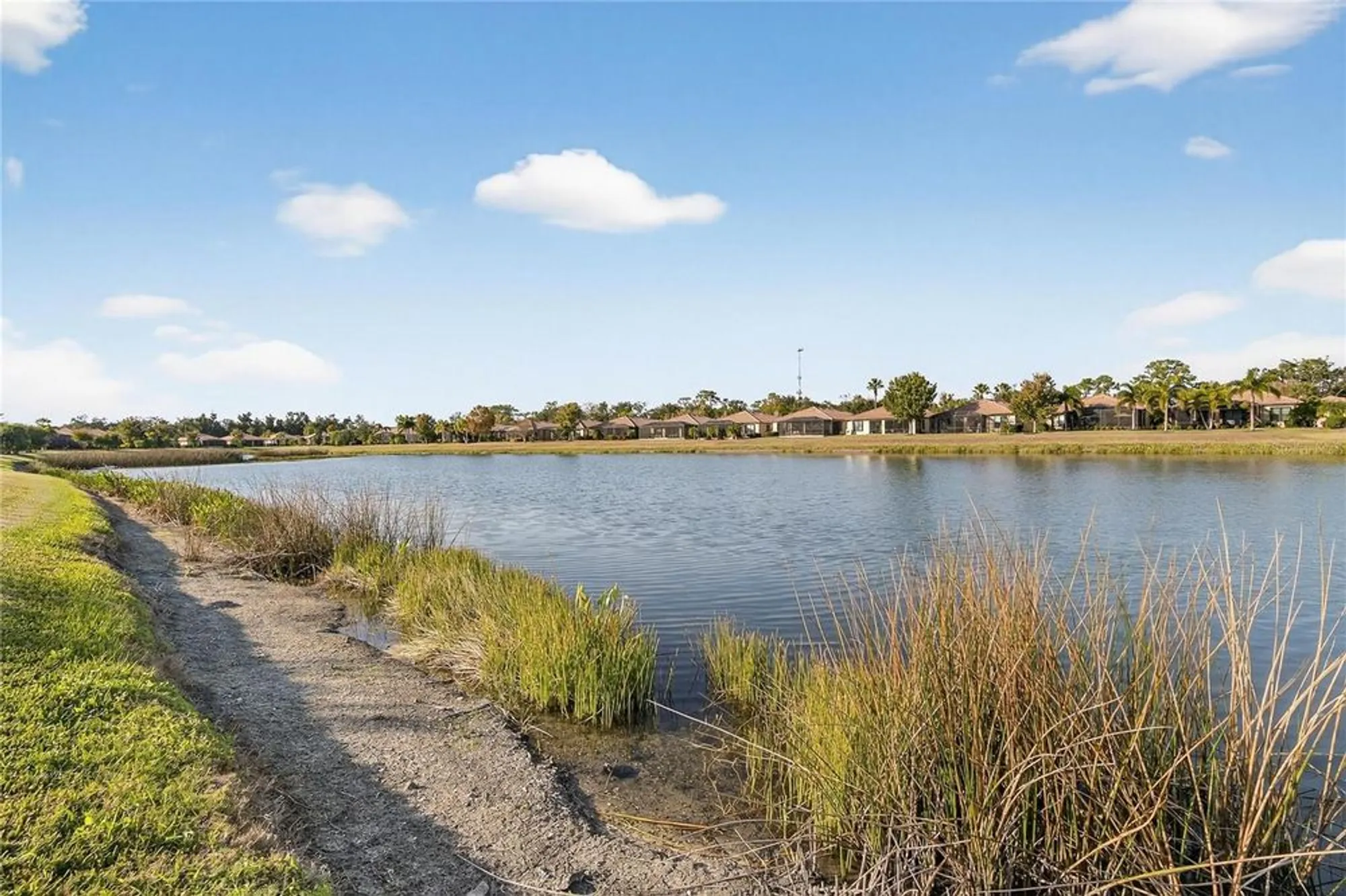 Property Slideshow image 49 of 76 | 331 cedar falls dr, Apollo Beach, FL, 33572