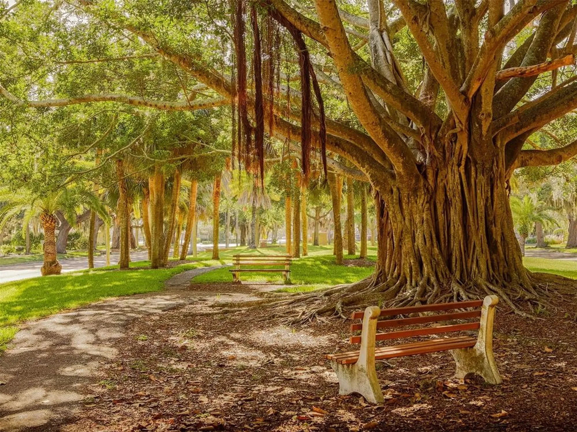 Property Slideshow image 54 of 68 | 437 cerromar ln unit 312, Venice, FL, 34293