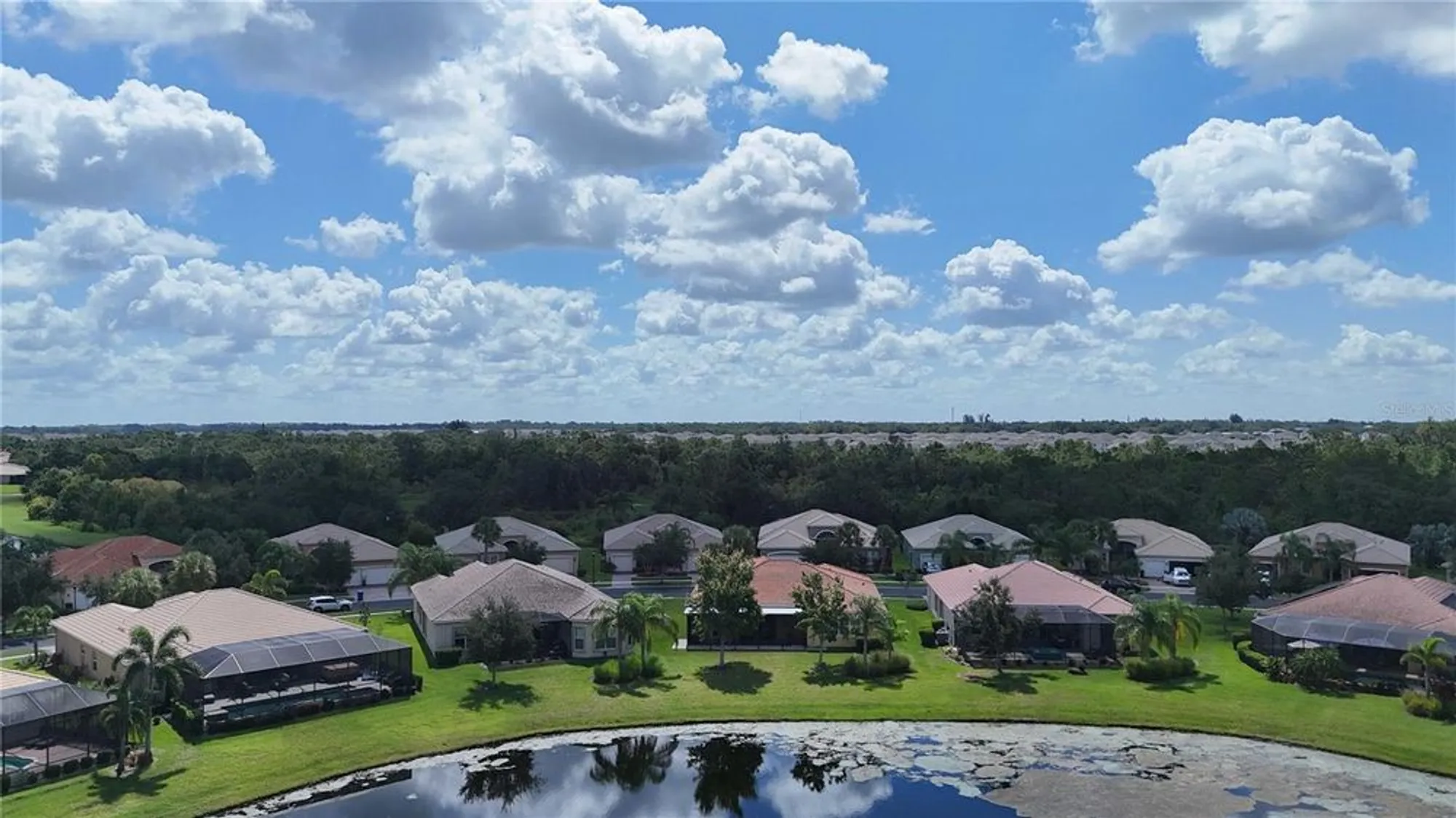 Property Slideshow image 61 of 74 | 16244 diamond bay dr, Wimauma, FL, 33598