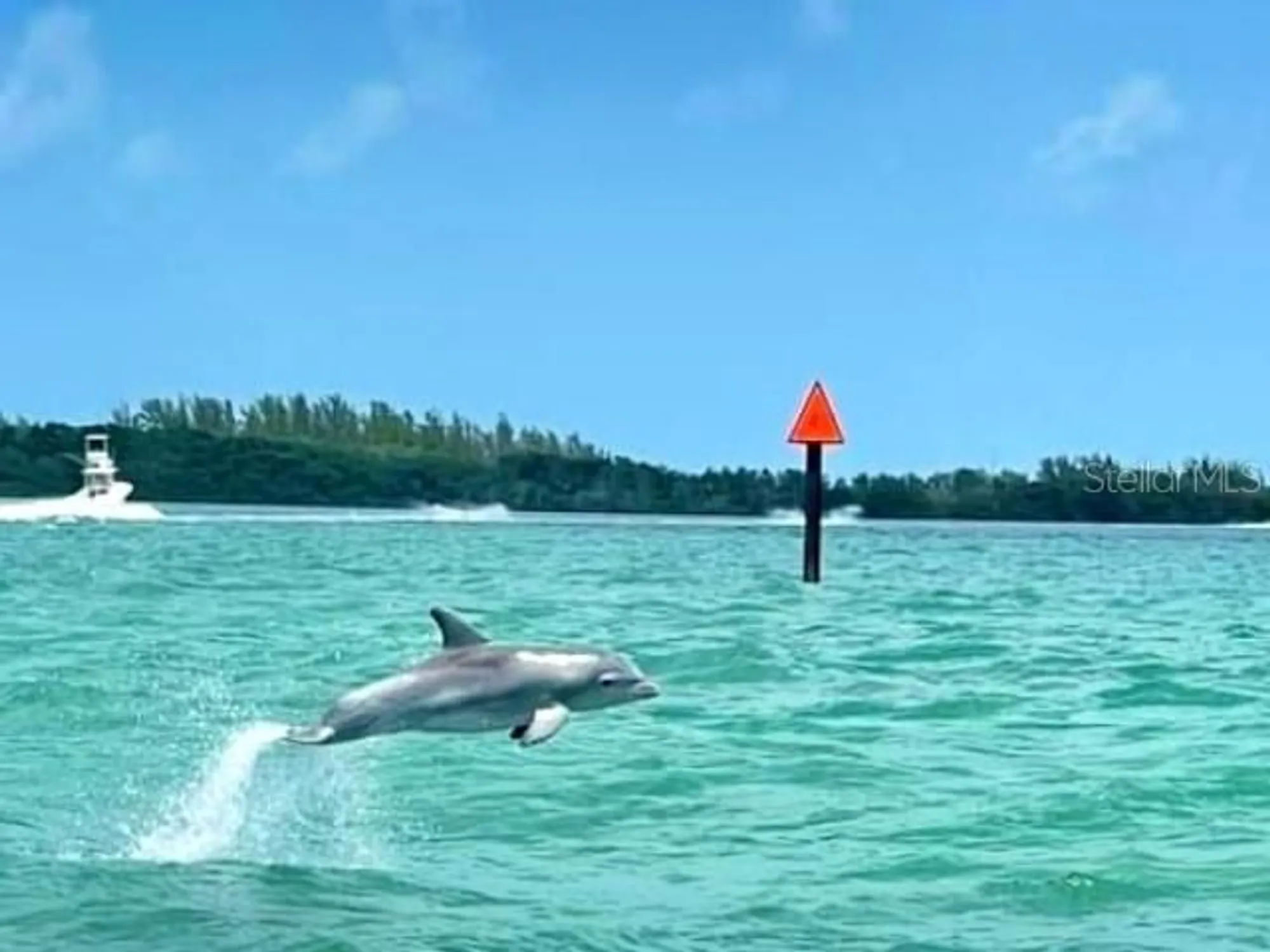 Property Slideshow image 69 of 84 | 1701 pinehurst rd apt 24b, Dunedin, FL, 34698