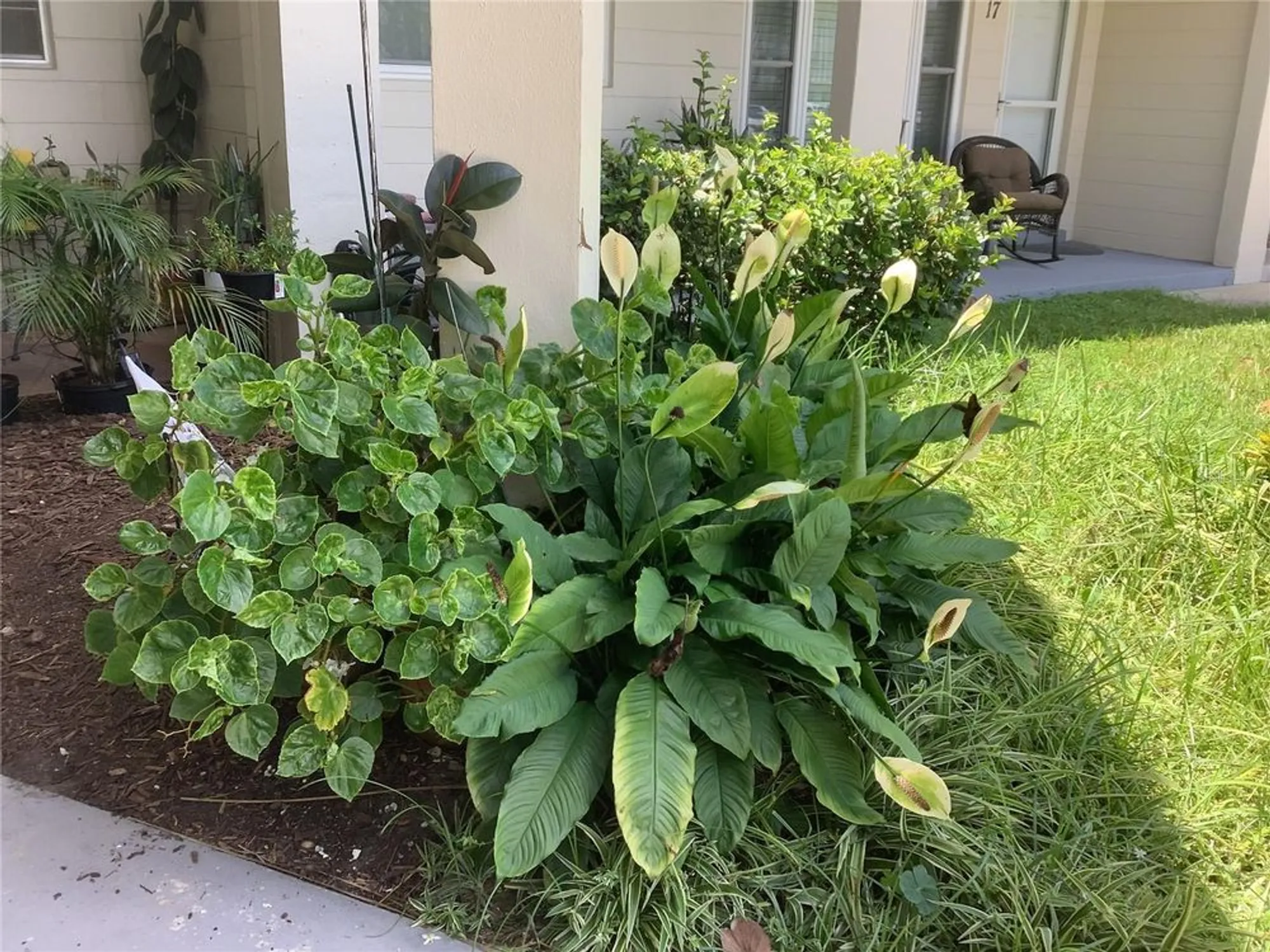 Property Slideshow image 62 of 65 | 2433 brazilia dr apt 43, Clearwater, FL, 33763