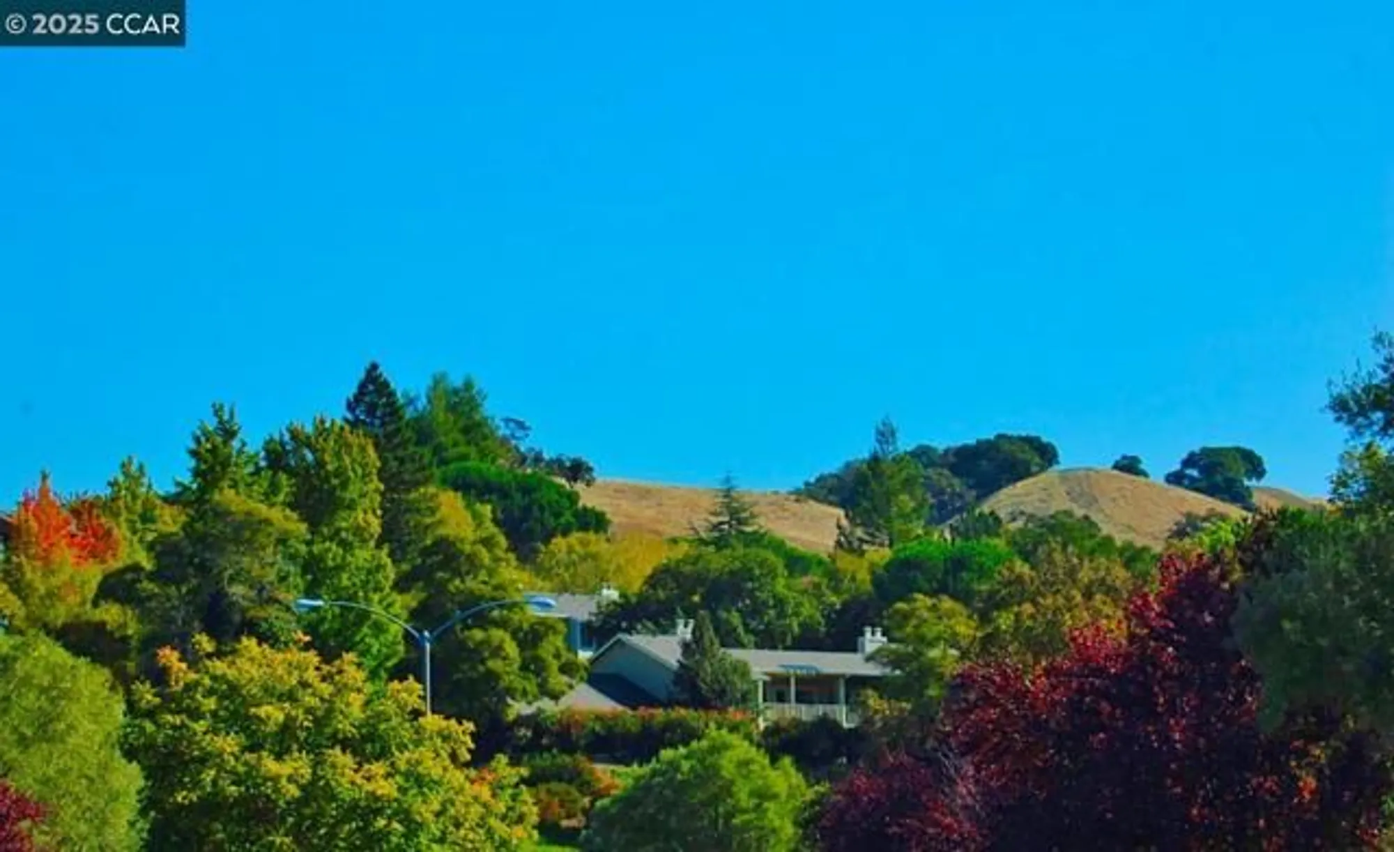 Property Slideshow image 38 of 60 | 1332 canyonwood ct apt 2, Walnut Creek, CA, 94595