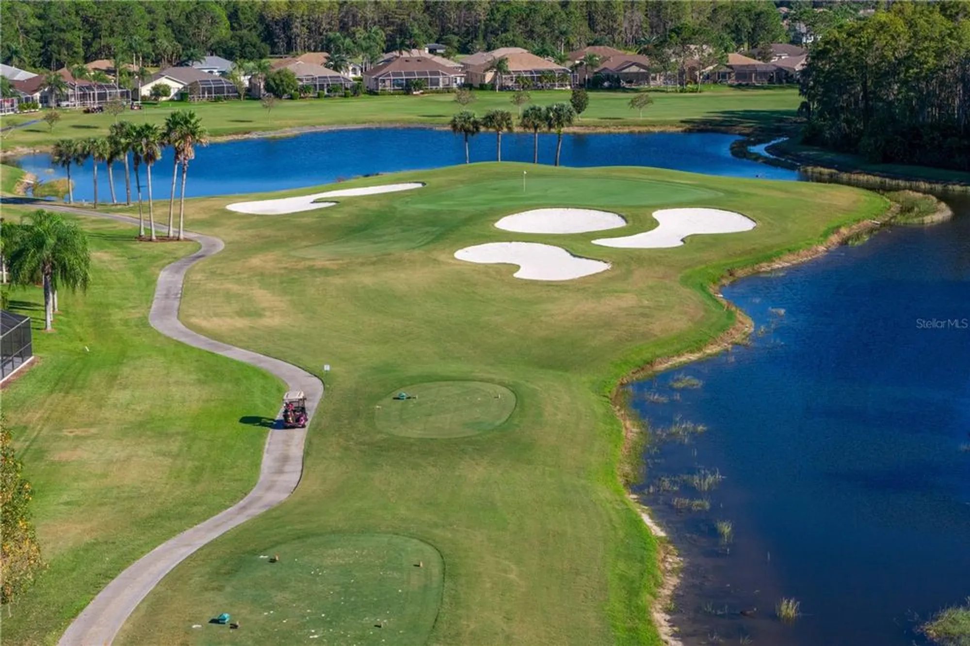 Property Slideshow image 49 of 66 | 1249 winding willow dr, Trinity, FL, 34655