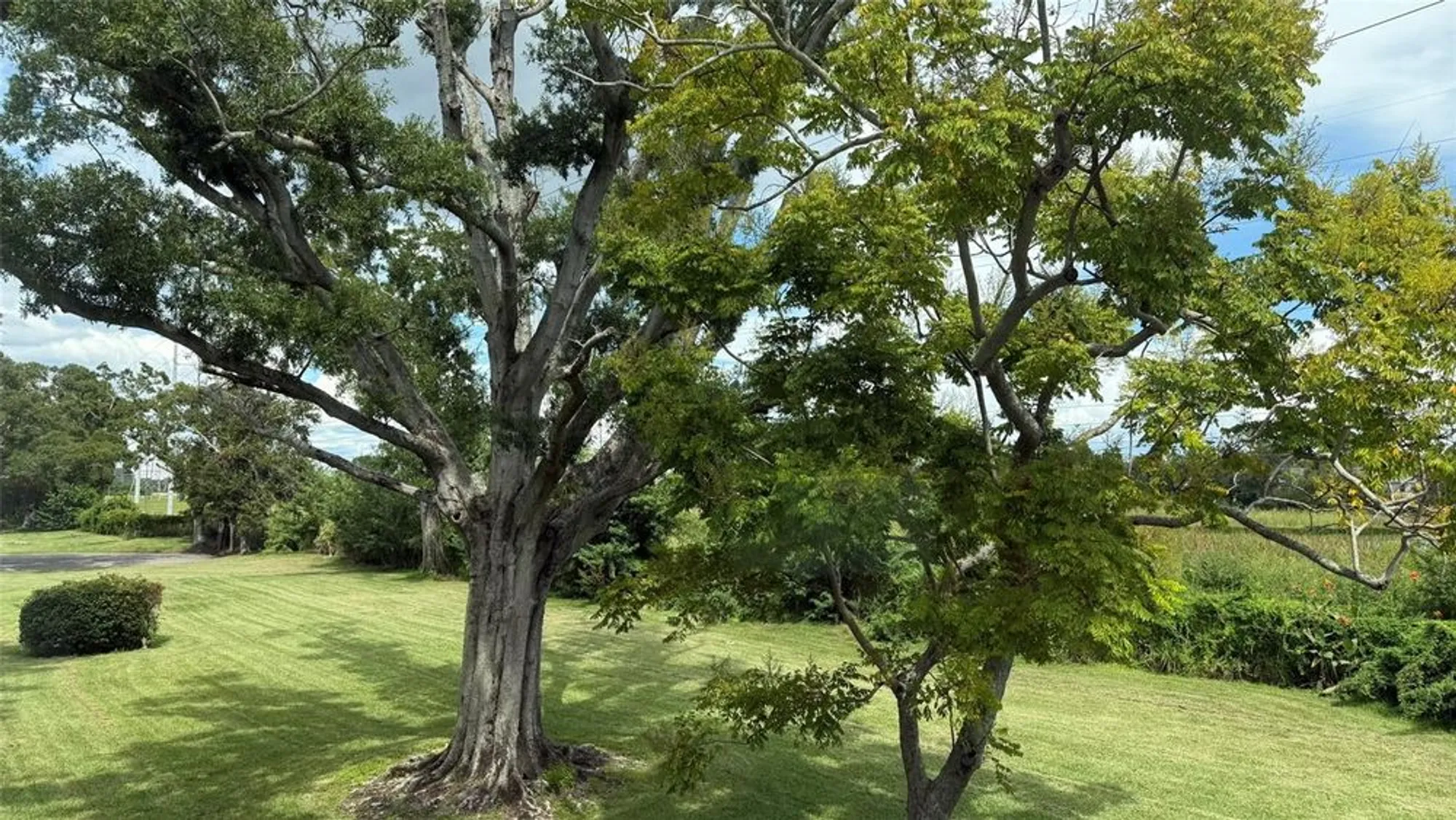 Property Slideshow image 15 of 33 | 2460 canadian way 48, Clearwater, FL, 33763