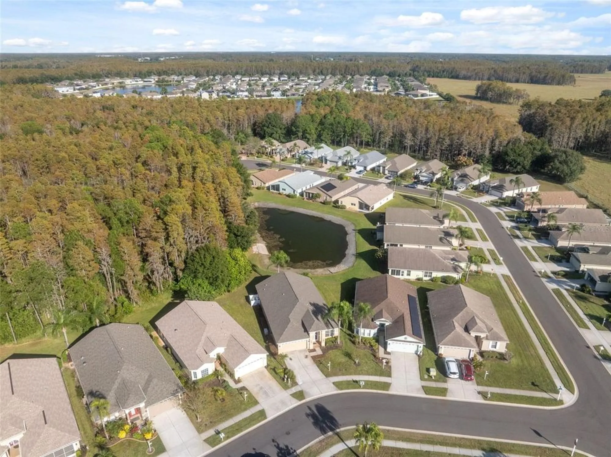 Property Slideshow image 55 of 78 | 1201 dustan pl, Trinity, FL, 34655