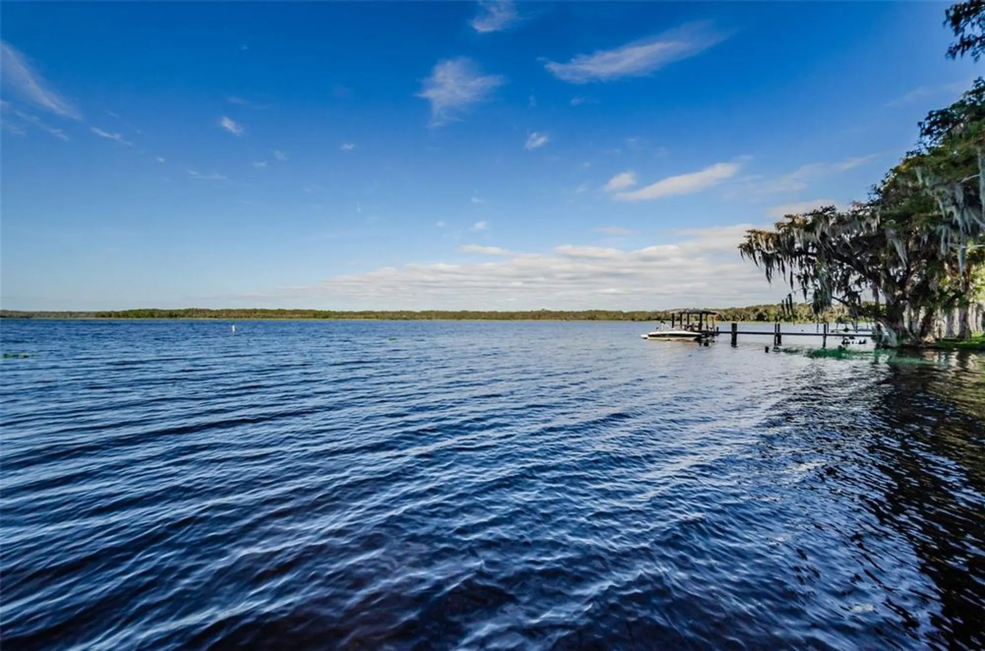 Property Slideshow image 84 of 95 | 2836 highlands blvd a, Palm Harbor, FL, 34684