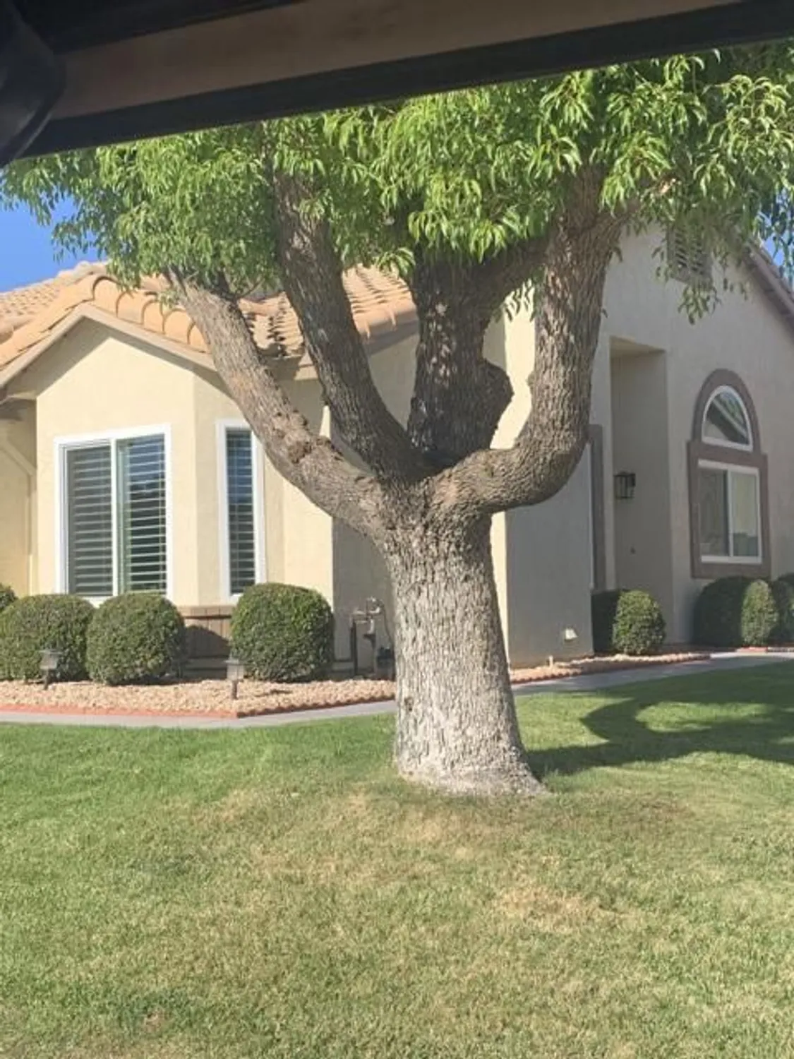 Property Slideshow image 4 of 90 | 6063 pebble beach dr, Banning, CA, 92220