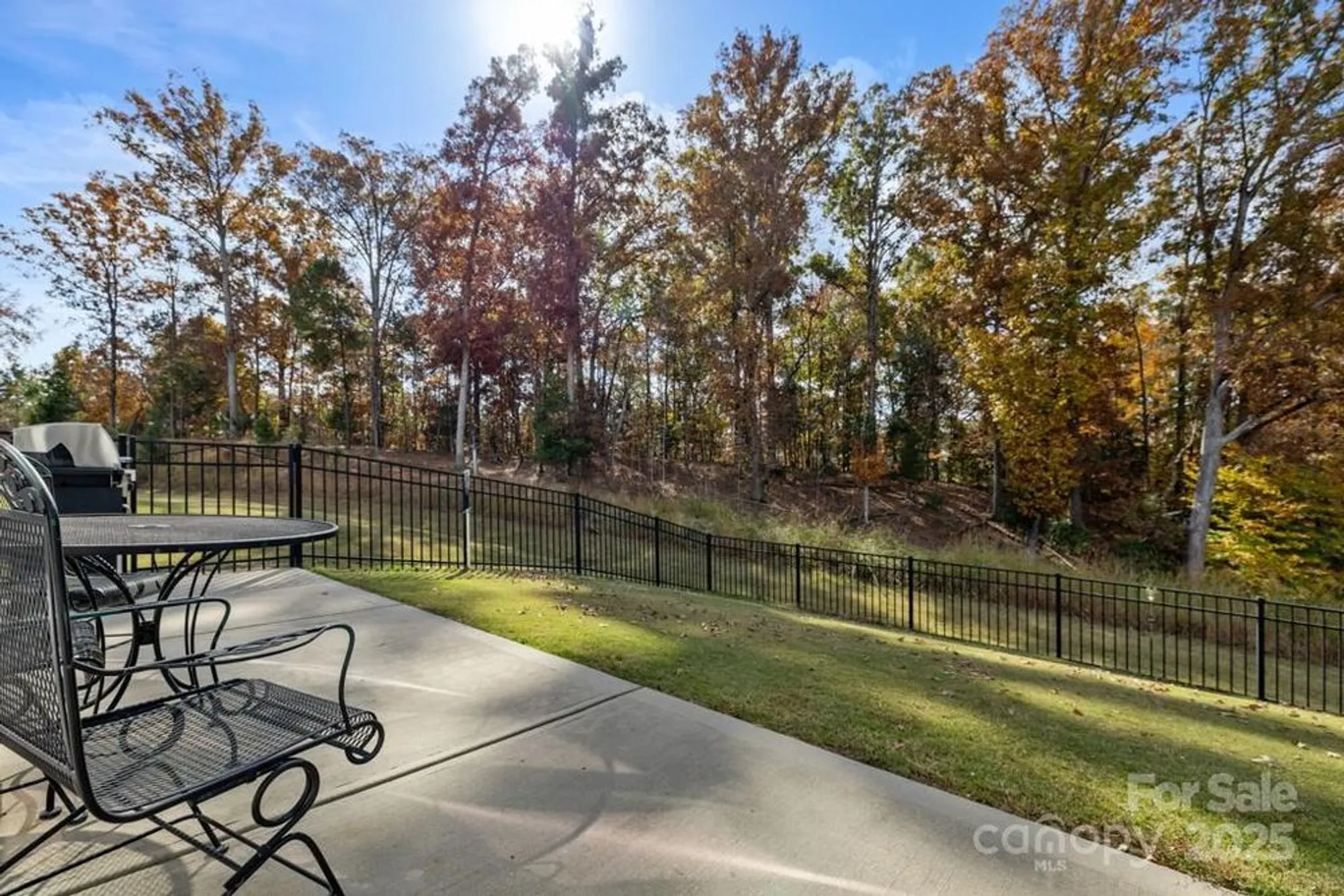 Property Slideshow image 25 of 45 | 2071 bronze leaf dr, Fort Mill, SC, 29707