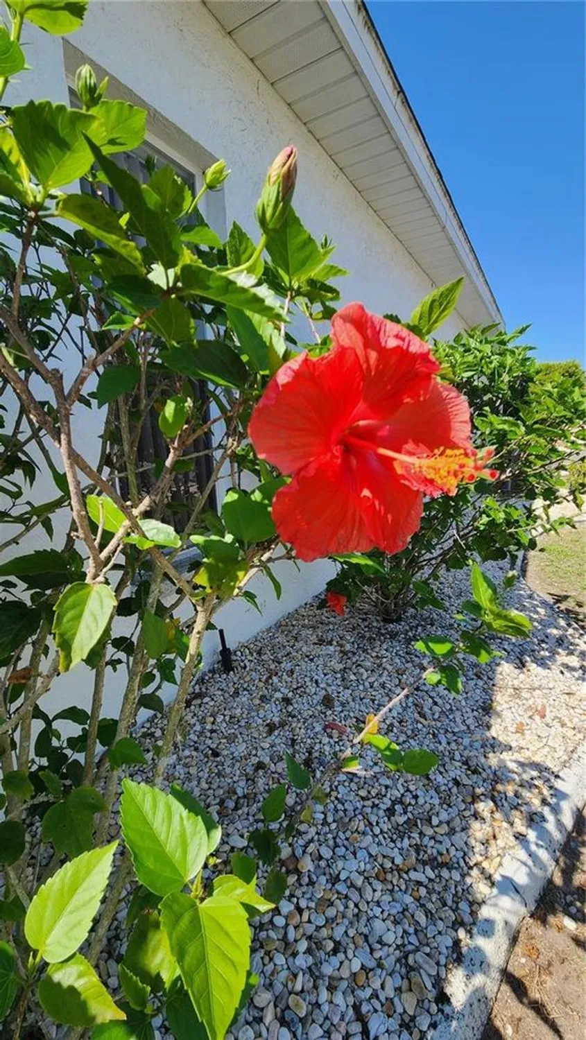 Property Slideshow image 48 of 60 | 2113 e del webb blvd, Sun City Center, FL, 33573