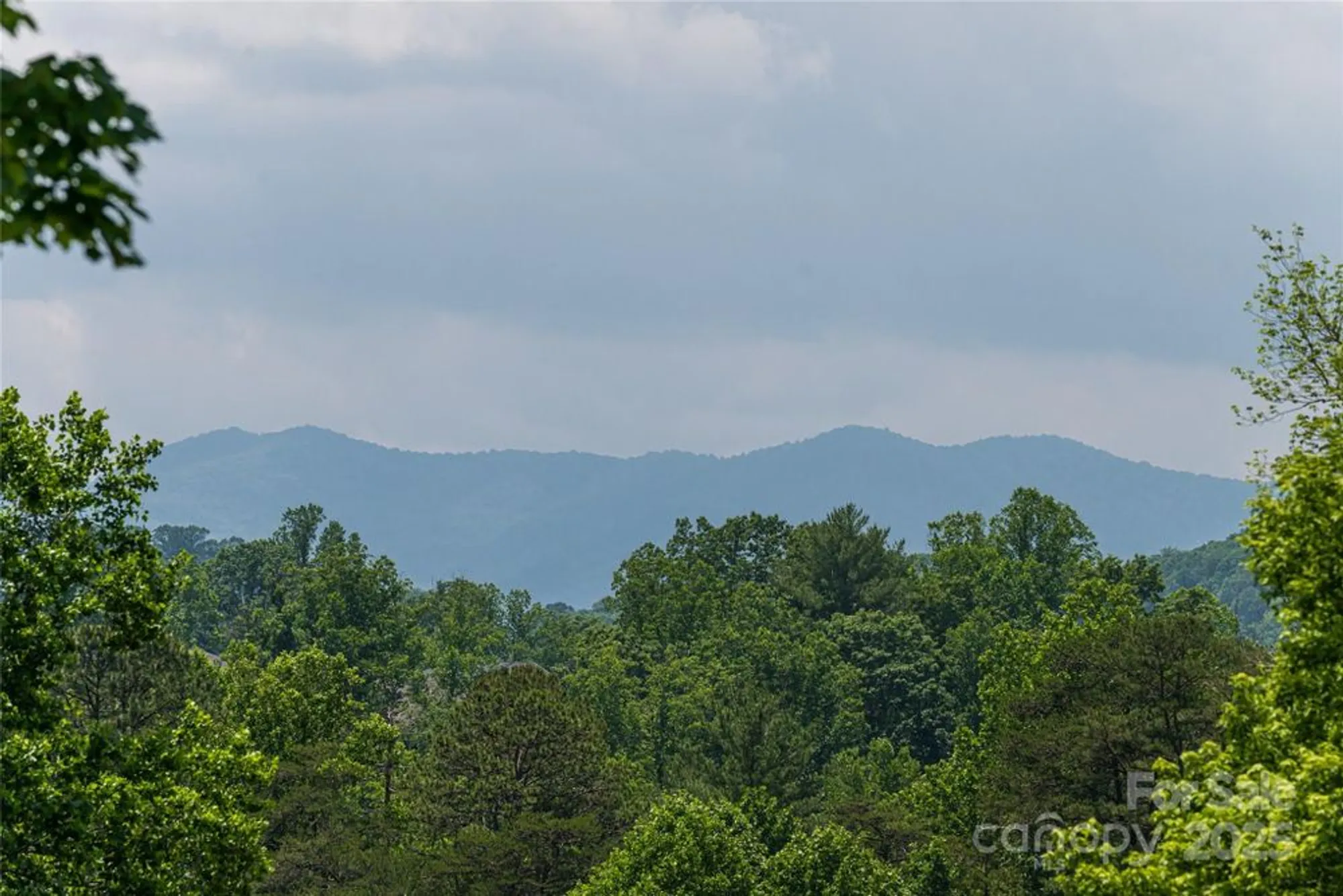 Property Slideshow image 34 of 48 | 91 greenwells glory dr, Biltmore Lake, NC, 28715