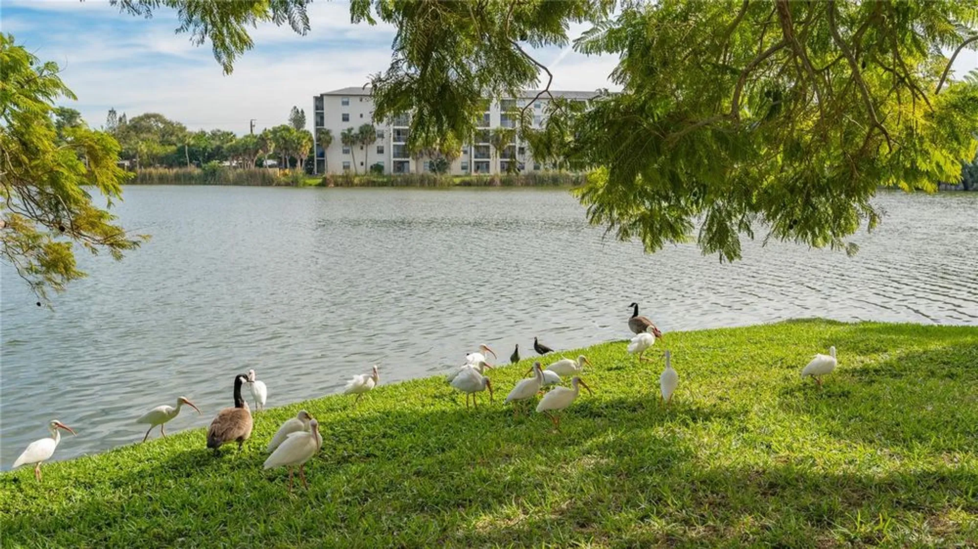 Property Slideshow image 62 of 64 | 4130 heron way # b-115, Bradenton, FL, 34205