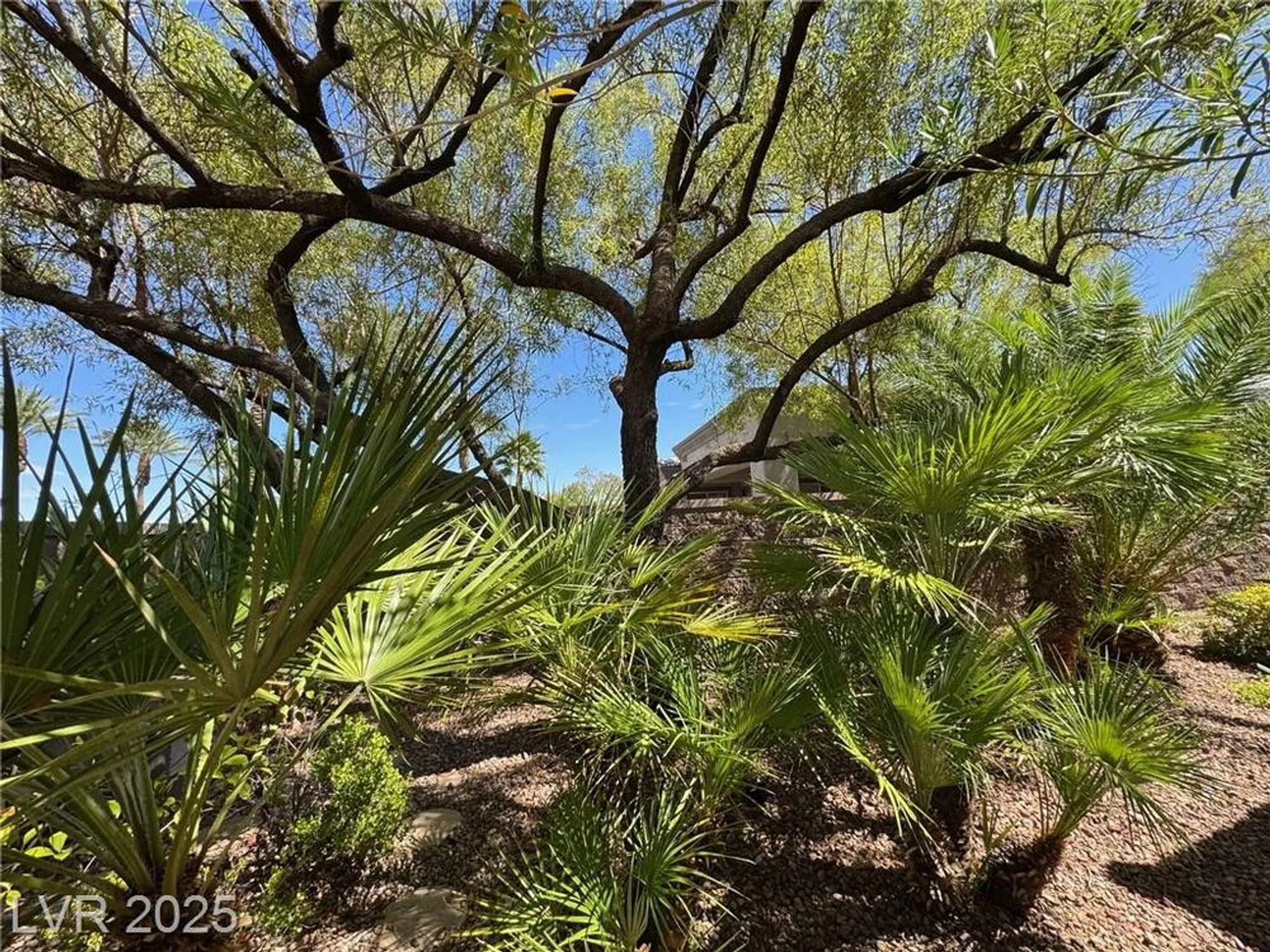 Property Slideshow image 38 of 47 | 4507 denaro dr, Las Vegas, NV, 89135