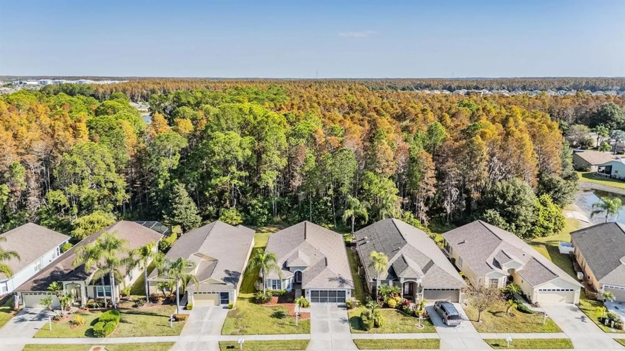 Property Slideshow image 22 of 49 | 1143 dustan pl, Trinity, FL, 34655