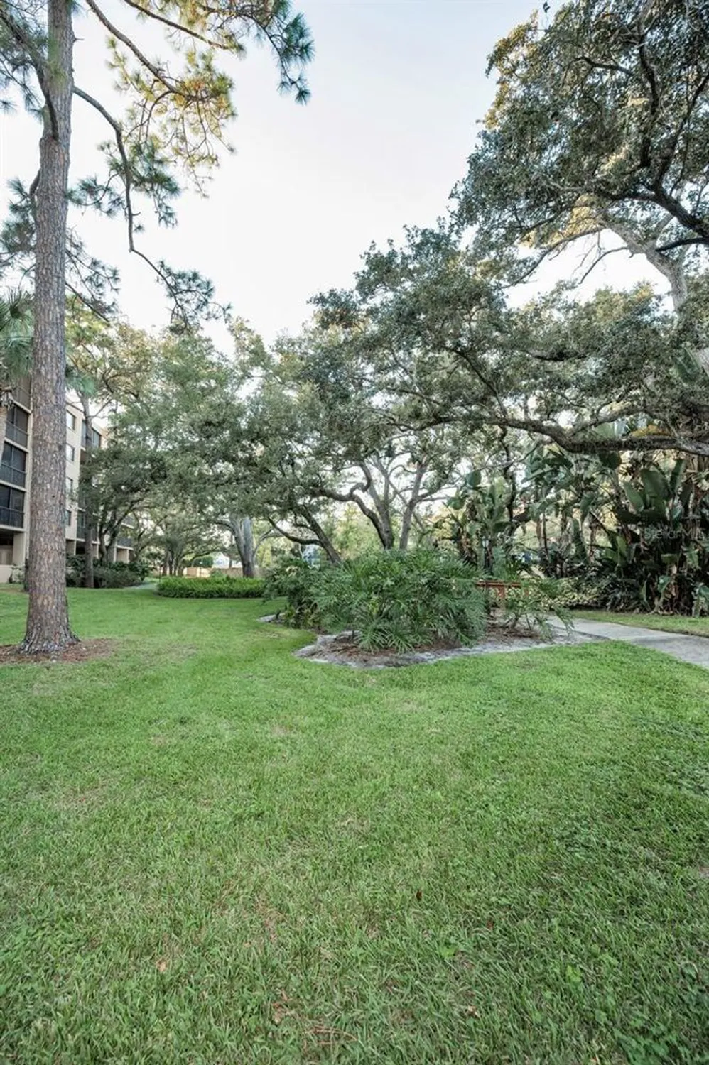 Property Slideshow image 55 of 85 | 3062 eastland blvd 105, Clearwater, FL, 33761