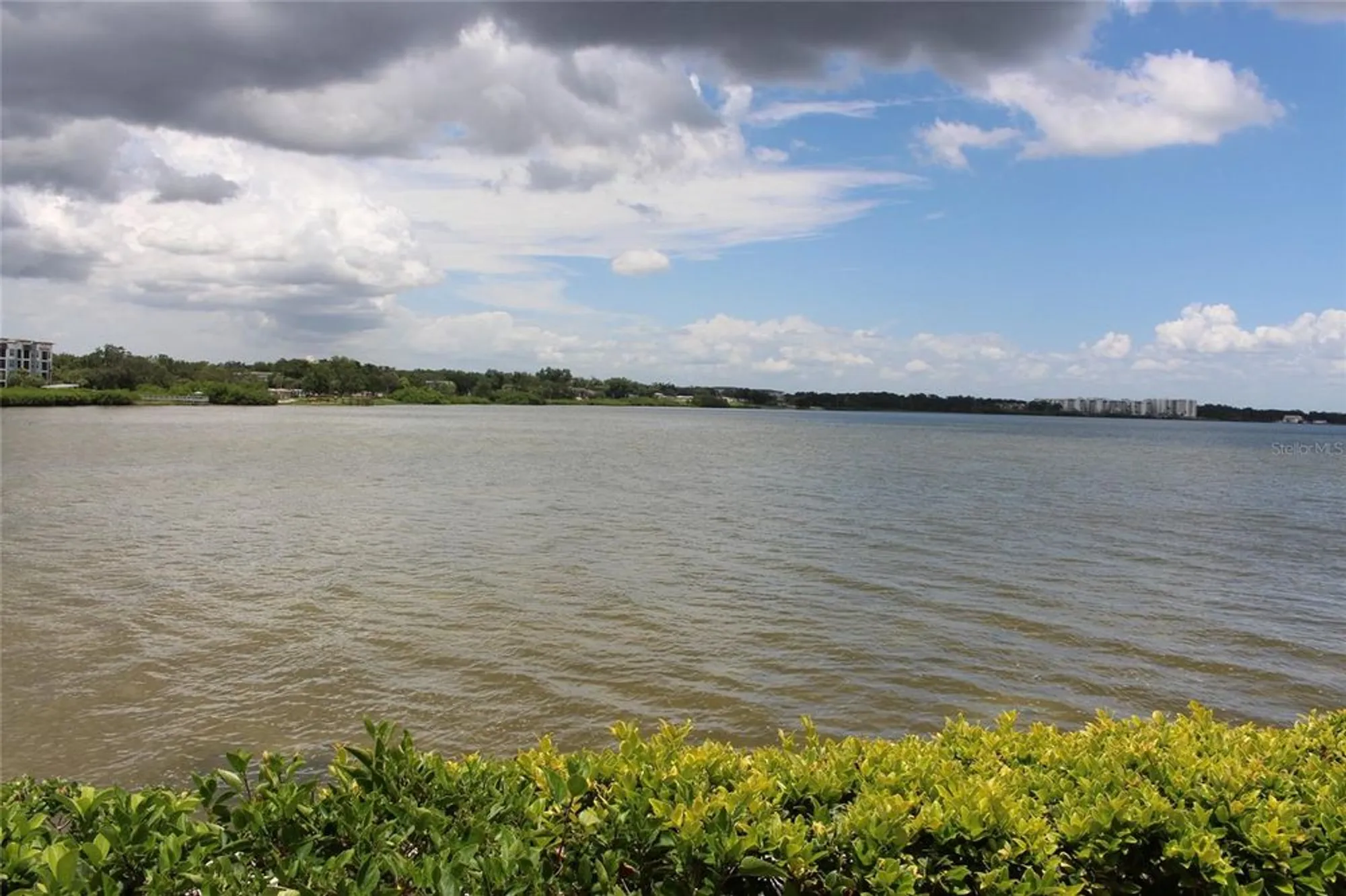 Property Slideshow image 4 of 26 | 19029 us highway 19 n apt 16c, Clearwater, FL, 33764