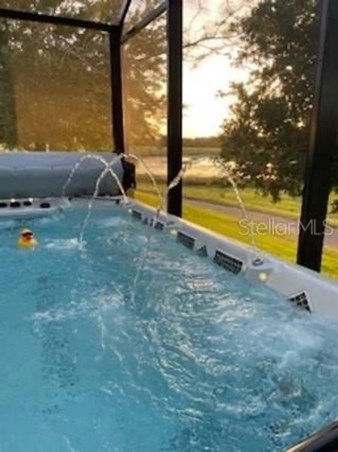 Property Slideshow image 38 of 38 | 3606 mulberry grove loop, Leesburg, FL, 34748