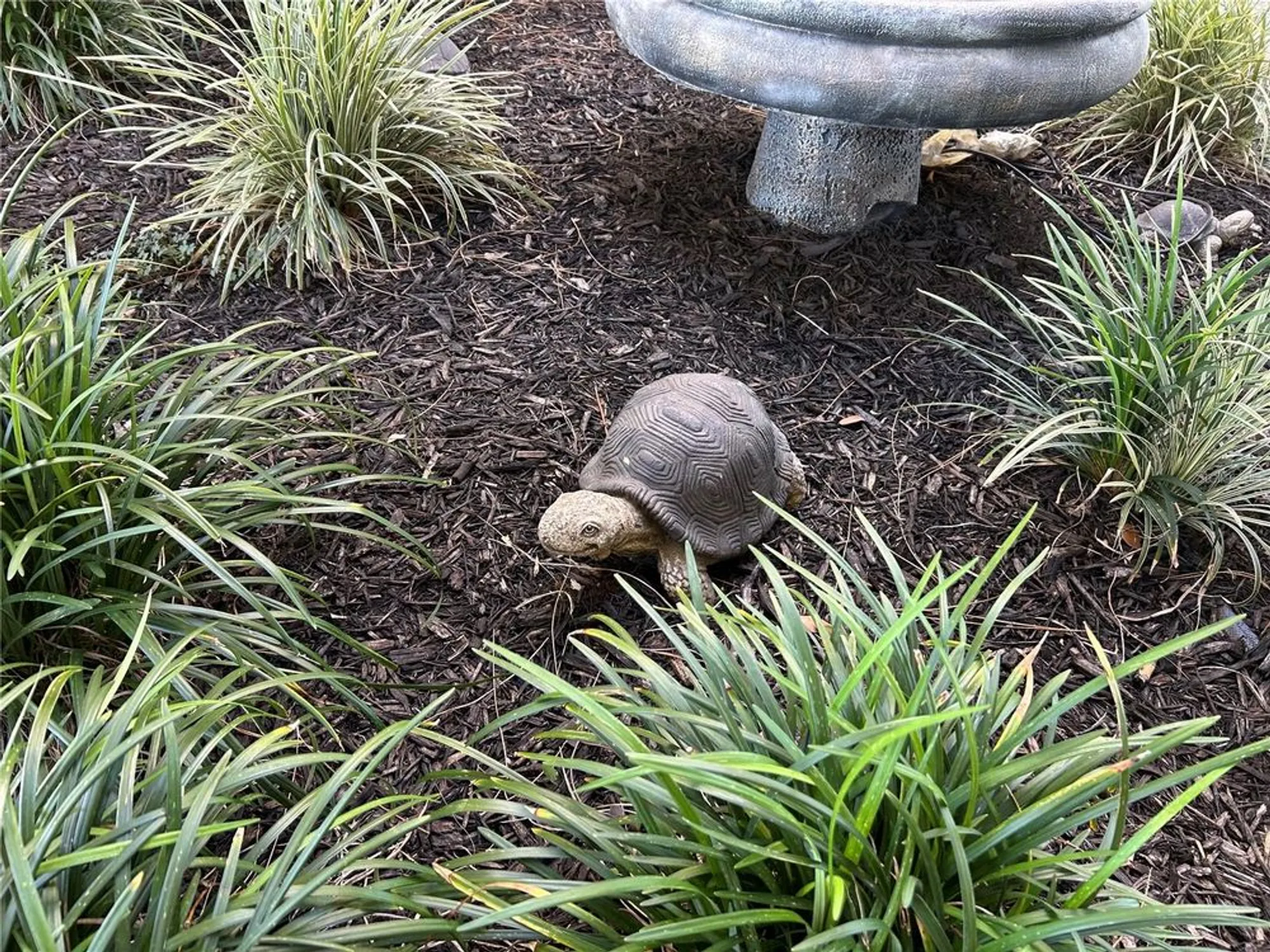 Property Slideshow image 49 of 61 | 2300 aaron st apt 215, Port Charlotte, FL, 33952