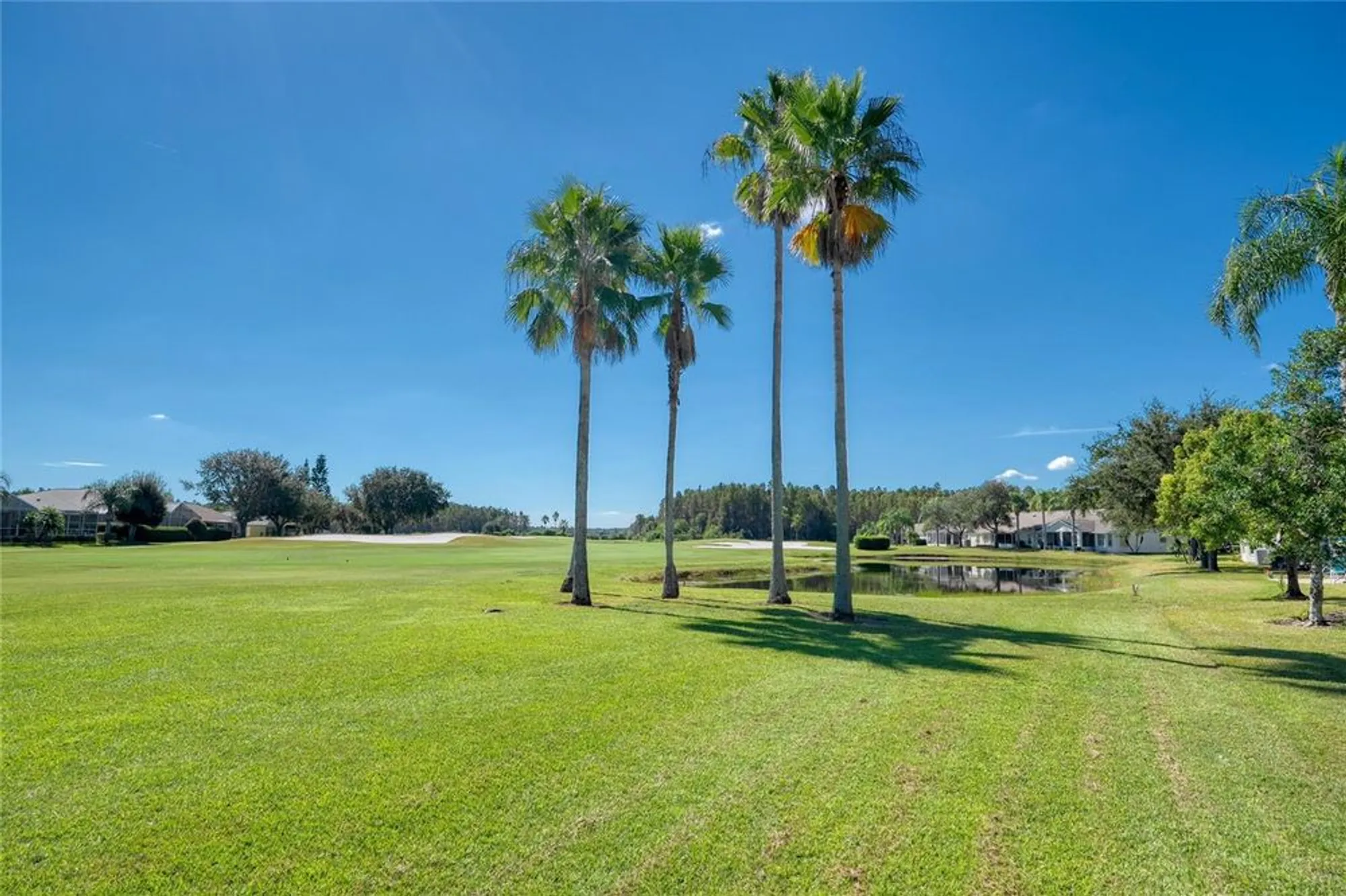 Property Slideshow image 28 of 46 | 1208 flora vista st, Trinity, FL, 34655