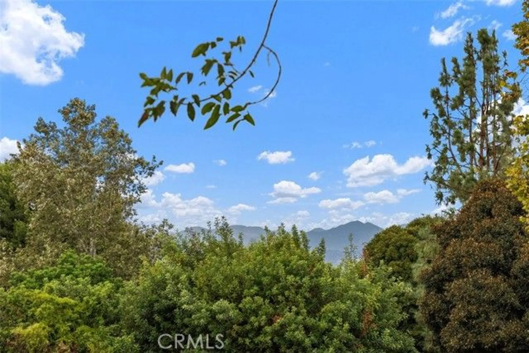 Property Slideshow image 13 of 30 | 3211 via buena vis b, Laguna Woods, CA, 92637