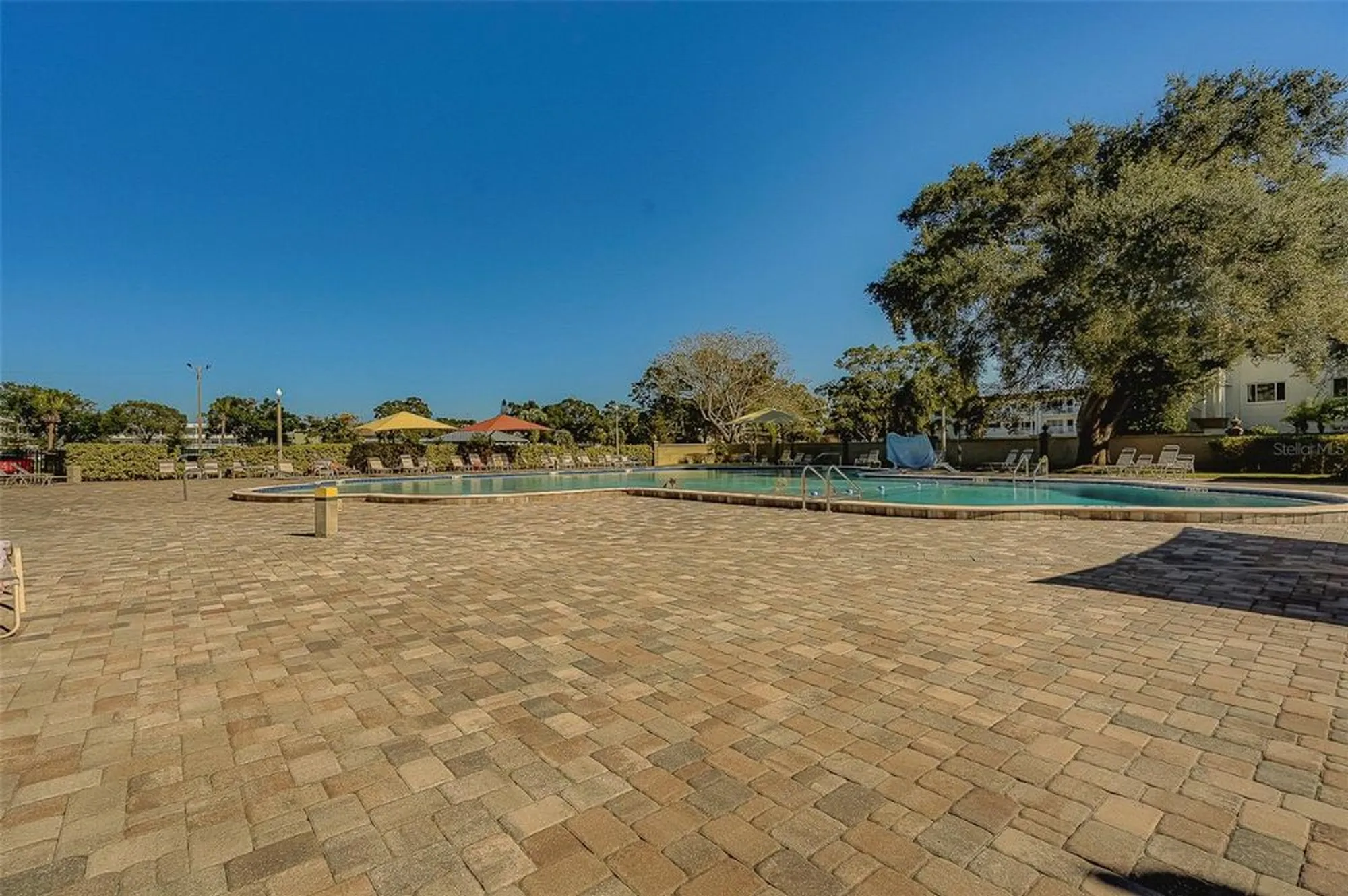 Property Slideshow image 71 of 85 | 2441 persian dr apt 61, Clearwater, FL, 33763