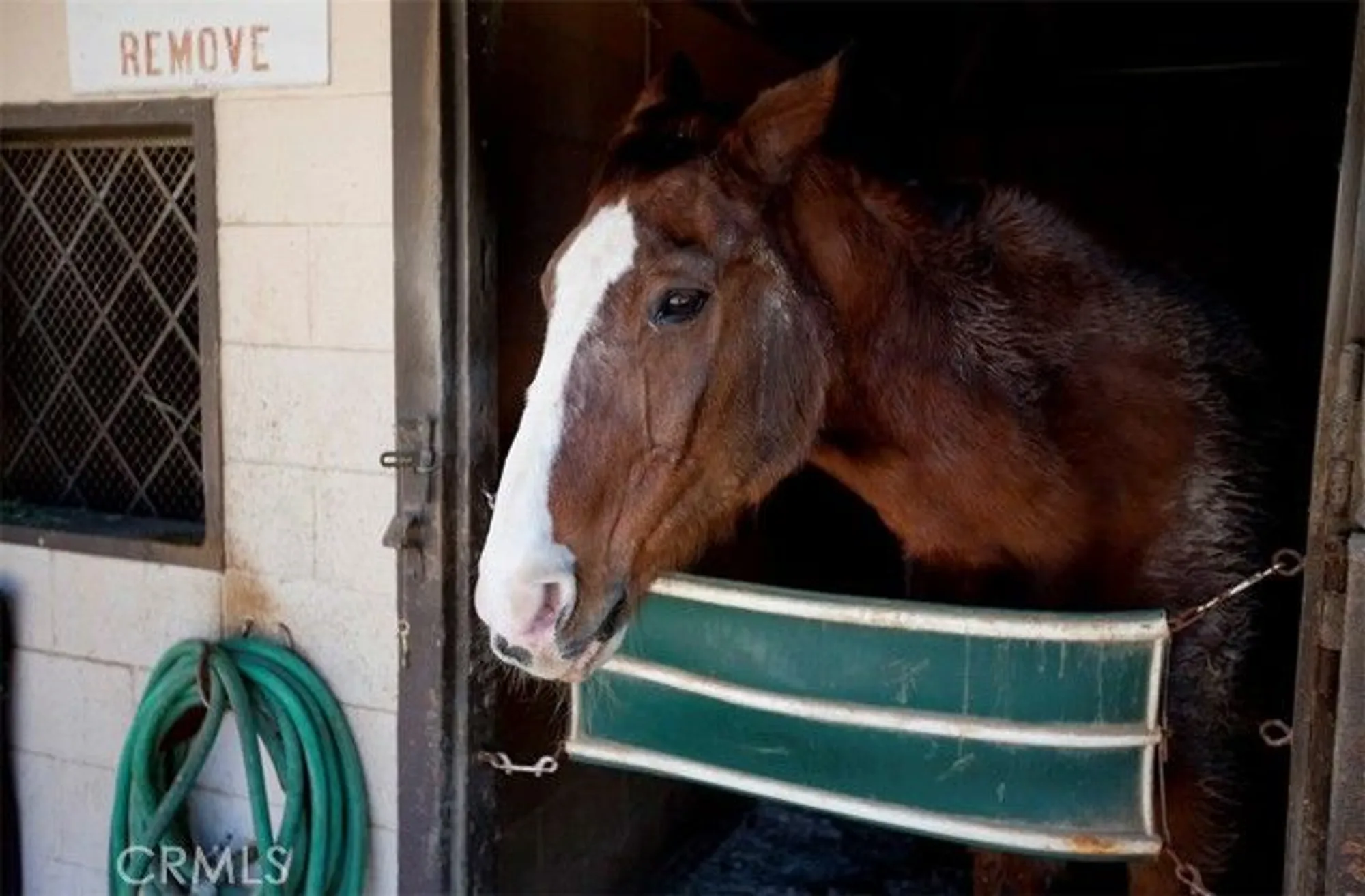 Property Slideshow image 42 of 51 | 2026 via d, Laguna Woods, CA, 92637